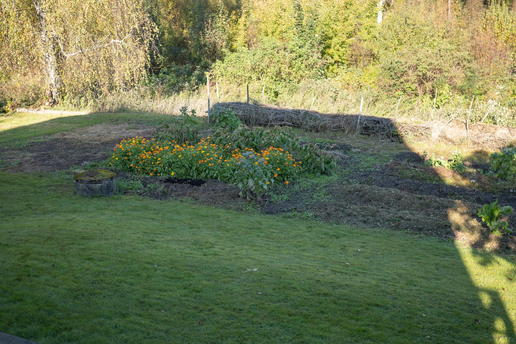 Villa, Gullåkravägen 8, Falköping