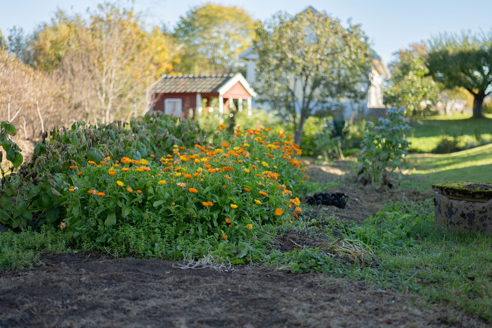 Villa, Gullåkravägen 8, Falköping
