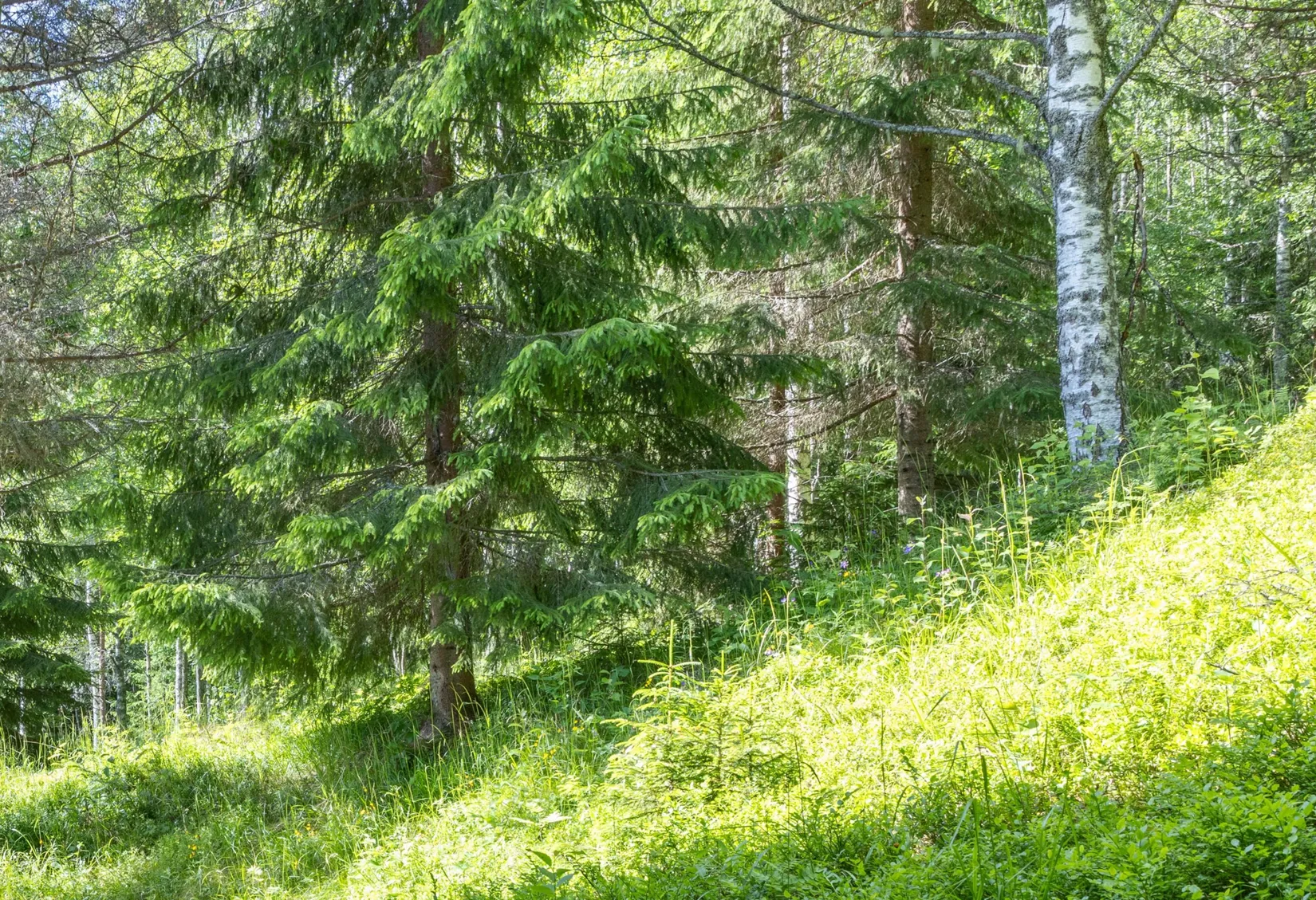 Fritidshus, Landsvägen 76, Kallholen, Orsa