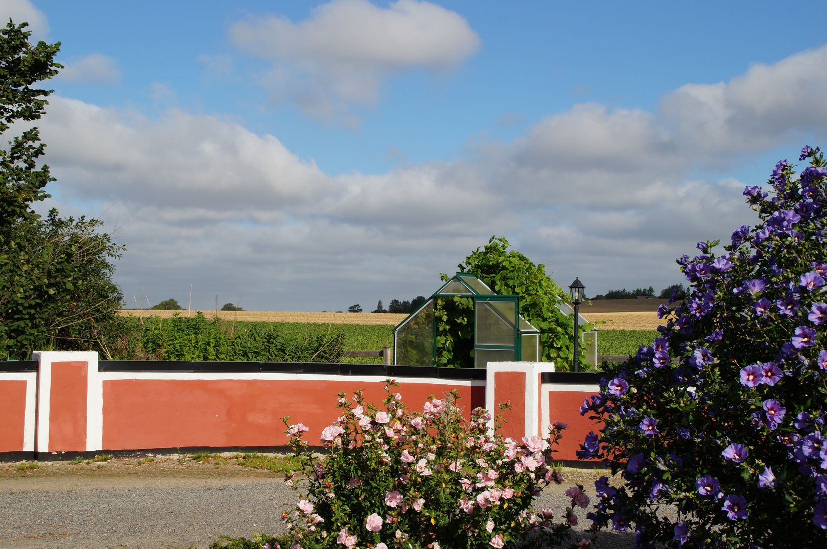 Gård/Skog, Hassle Bösarp 1216, Hassle Bösarp, Skurup