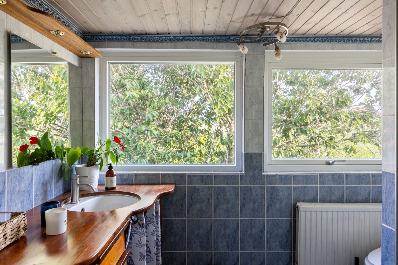 Gård/Skog, Hassle Bösarp 1216, Hassle Bösarp, Skurup