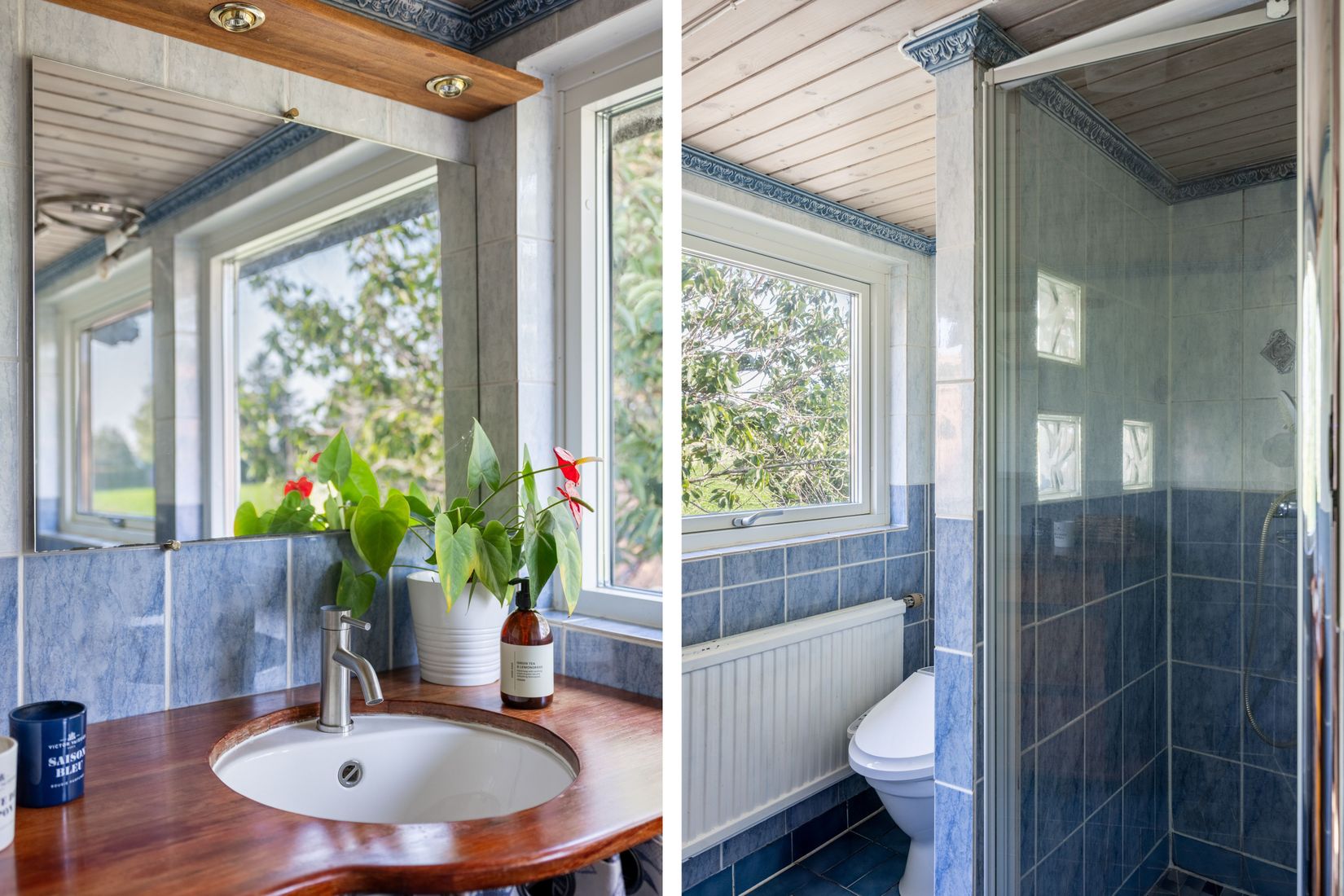 Gård/Skog, Hassle Bösarp 1216, Hassle Bösarp, Skurup