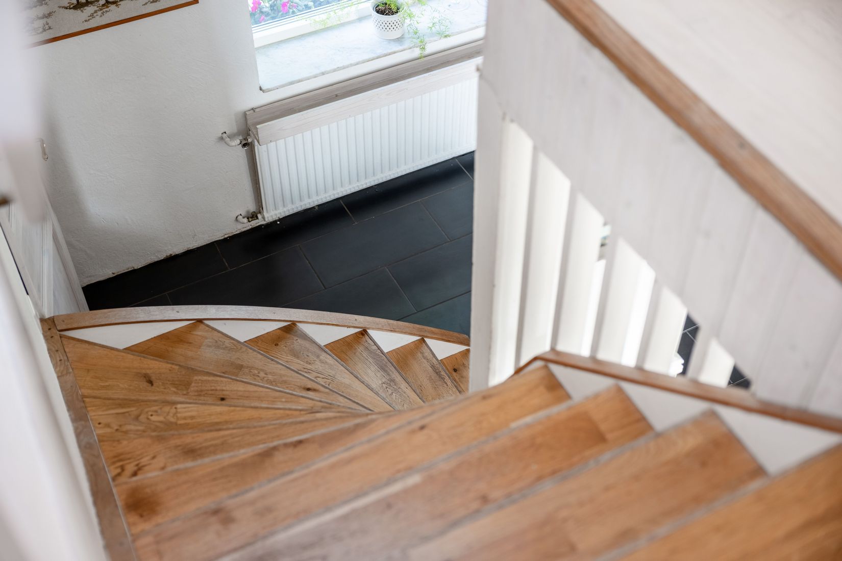 Gård/Skog, Hassle Bösarp 1216, Hassle Bösarp, Skurup