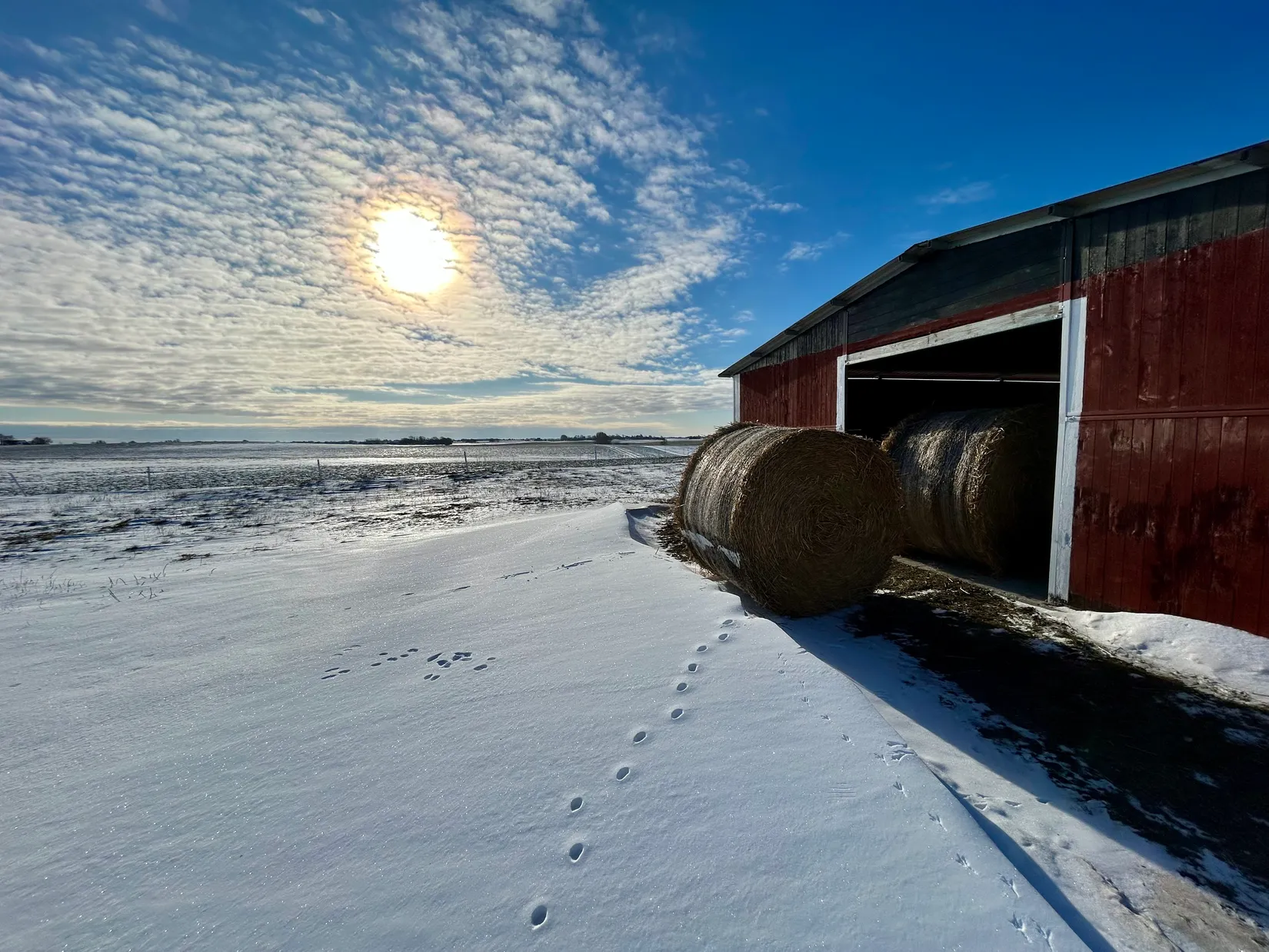 Gård/Skog, Hassle Bösarp 1216, Hassle Bösarp, Skurup