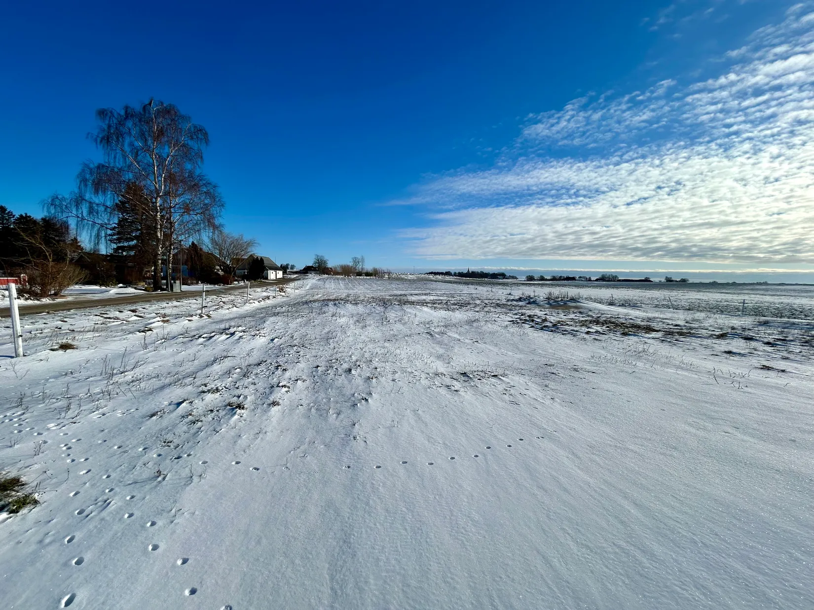 Gård/Skog, Hassle Bösarp 1216, Hassle Bösarp, Skurup