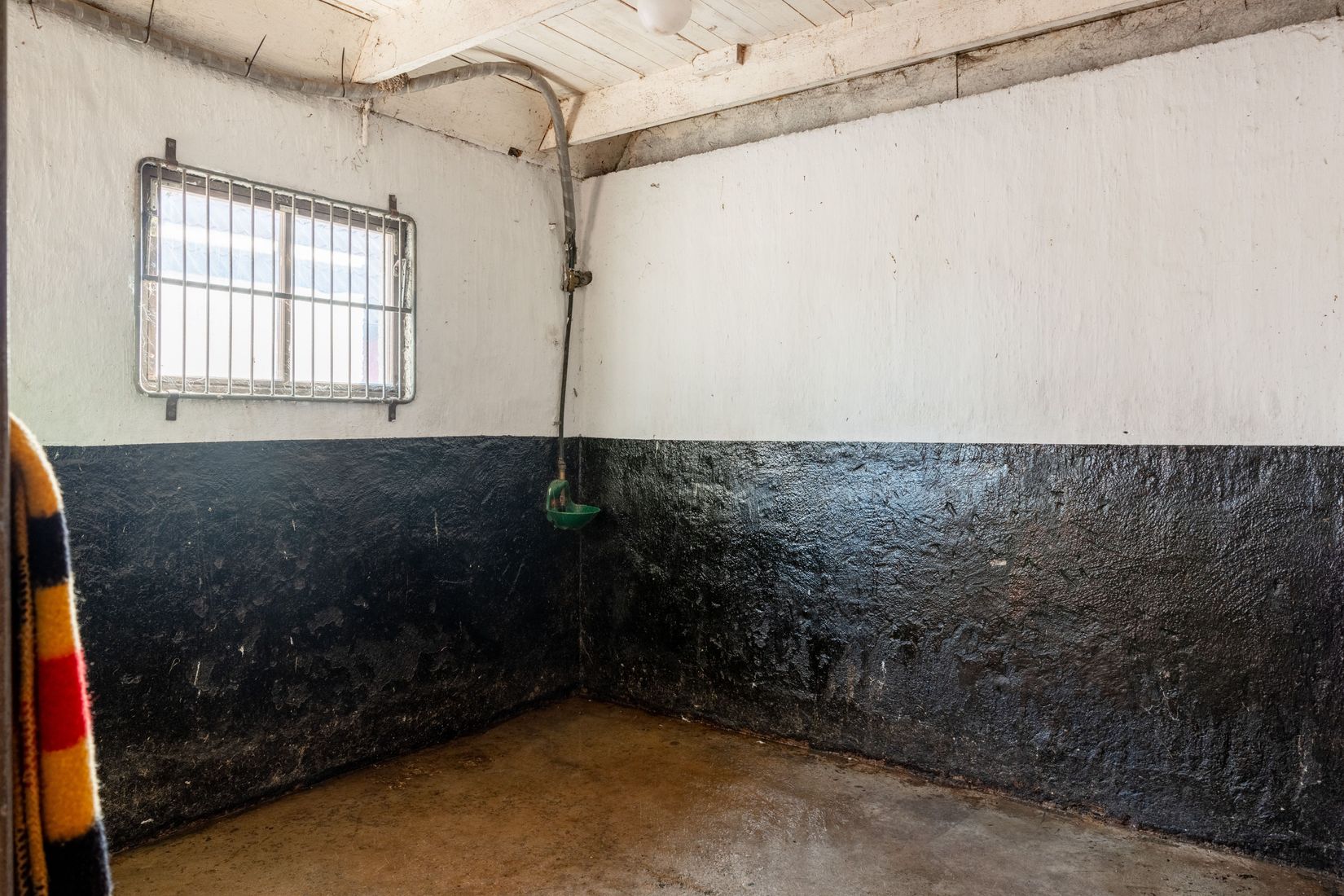 Gård/Skog, Hassle Bösarp 1216, Hassle Bösarp, Skurup