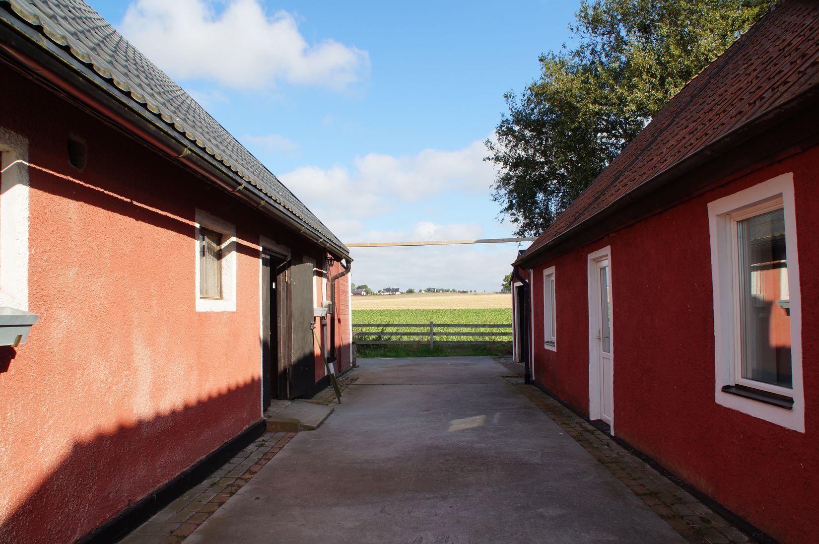 Gård/Skog, Hassle Bösarp 1216, Hassle Bösarp, Skurup