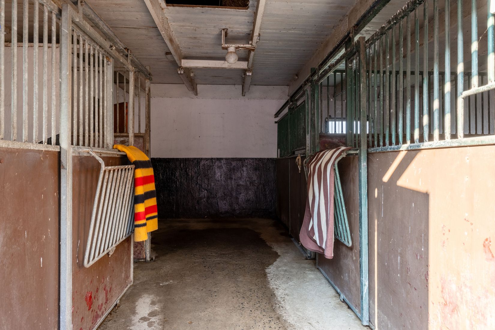 Gård/Skog, Hassle Bösarp 1216, Hassle Bösarp, Skurup