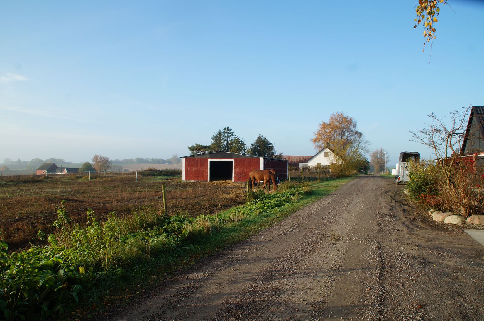 Gård/Skog, Hassle Bösarp 1216, Hassle Bösarp, Skurup