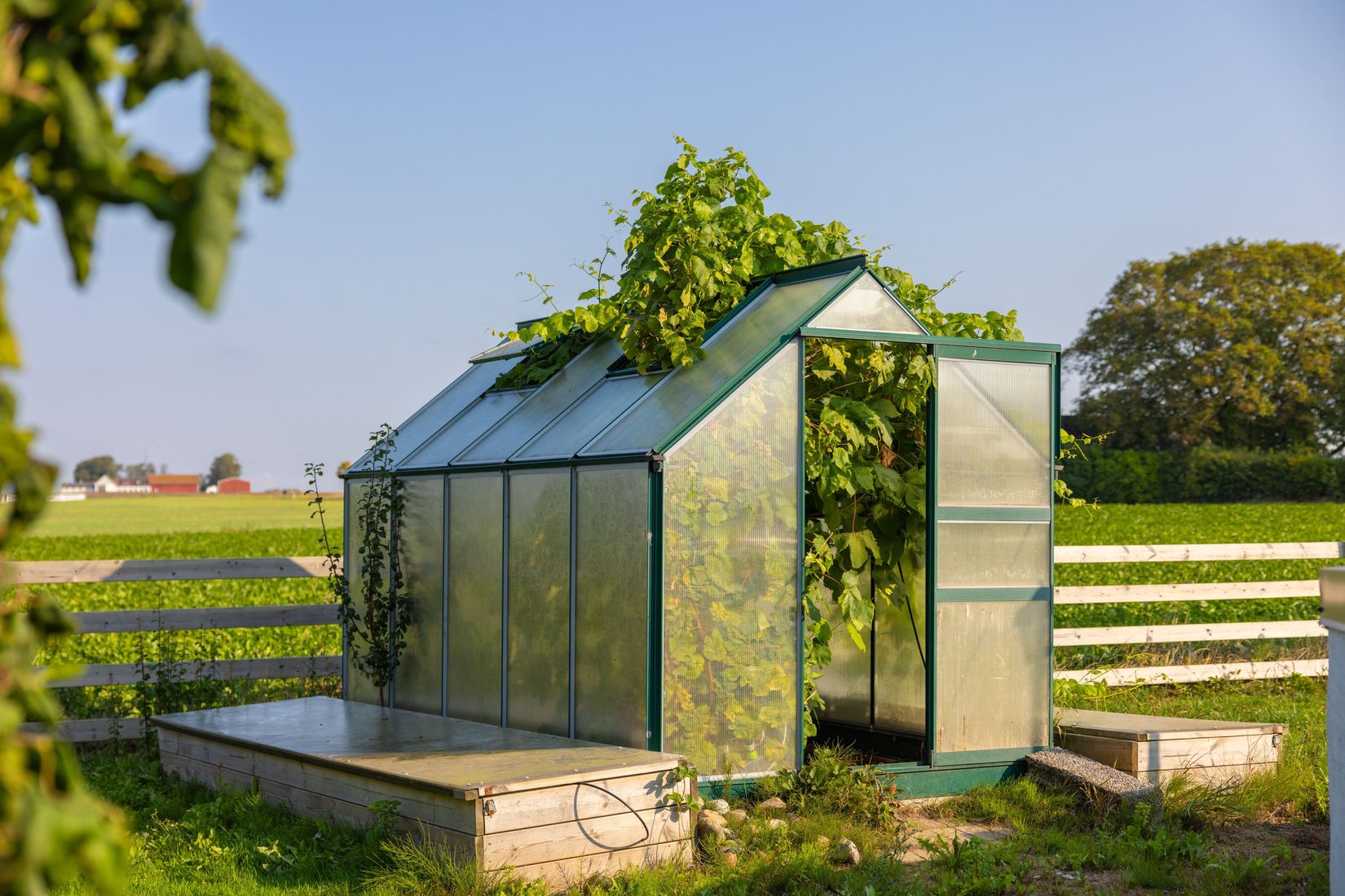 Gård/Skog, Hassle Bösarp 1216, Hassle Bösarp, Skurup