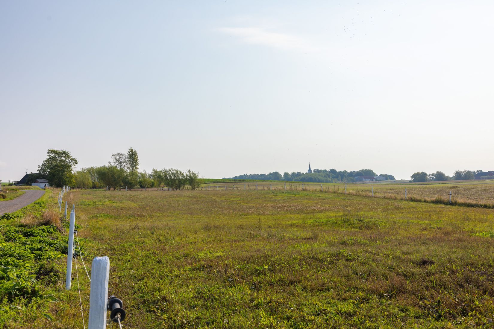 Gård/Skog, Hassle Bösarp 1216, Hassle Bösarp, Skurup