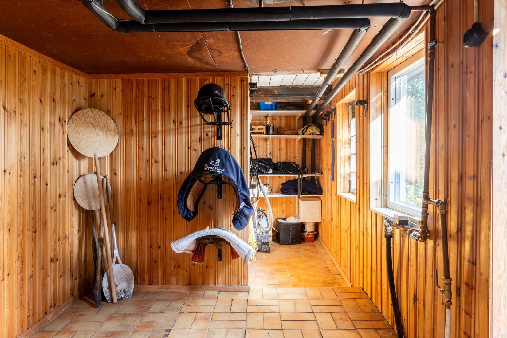 Gård/Skog, Hassle Bösarp 1216, Hassle Bösarp, Skurup