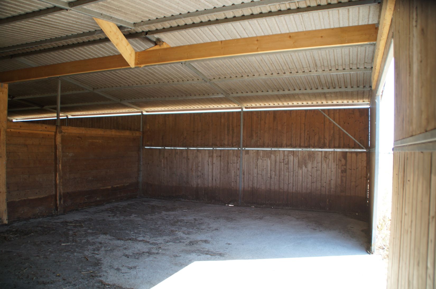 Gård/Skog, Hassle Bösarp 1216, Hassle Bösarp, Skurup