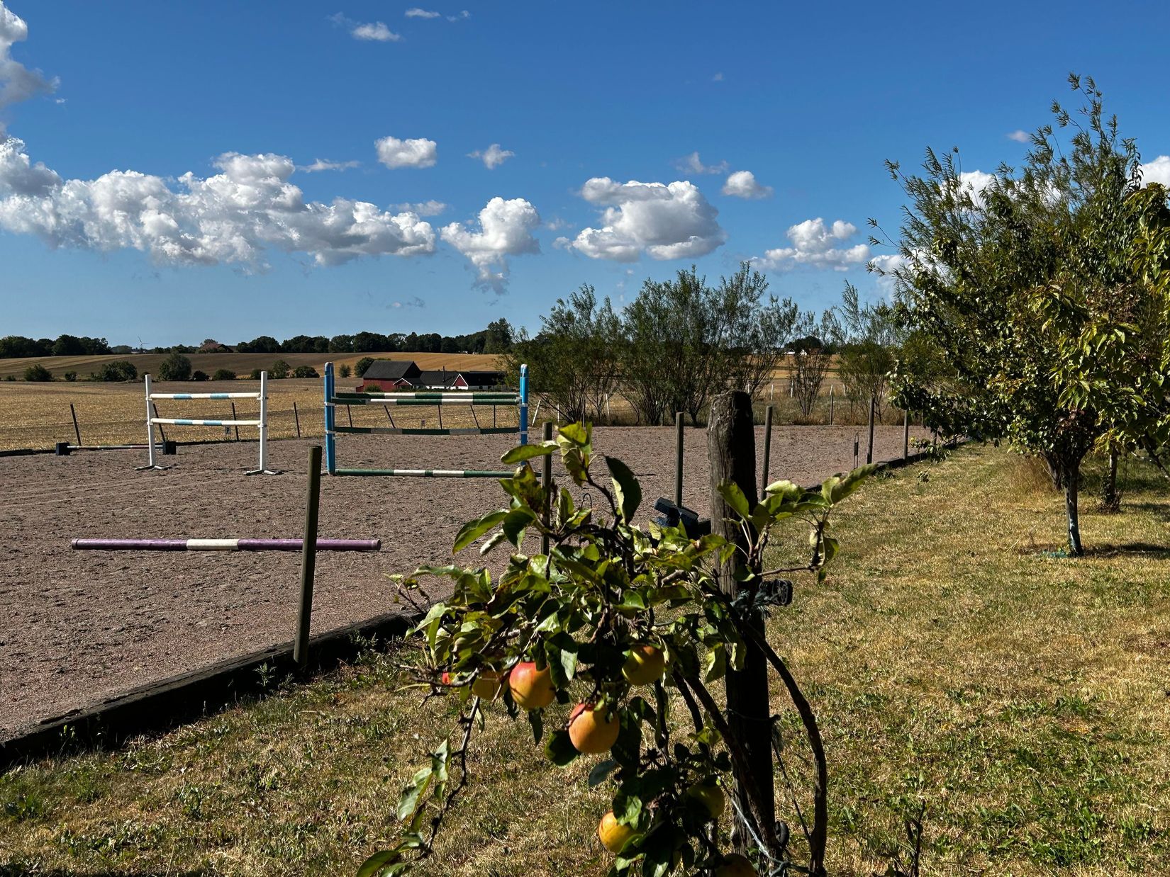 Gård/Skog, Hassle Bösarp 1216, Hassle Bösarp, Skurup