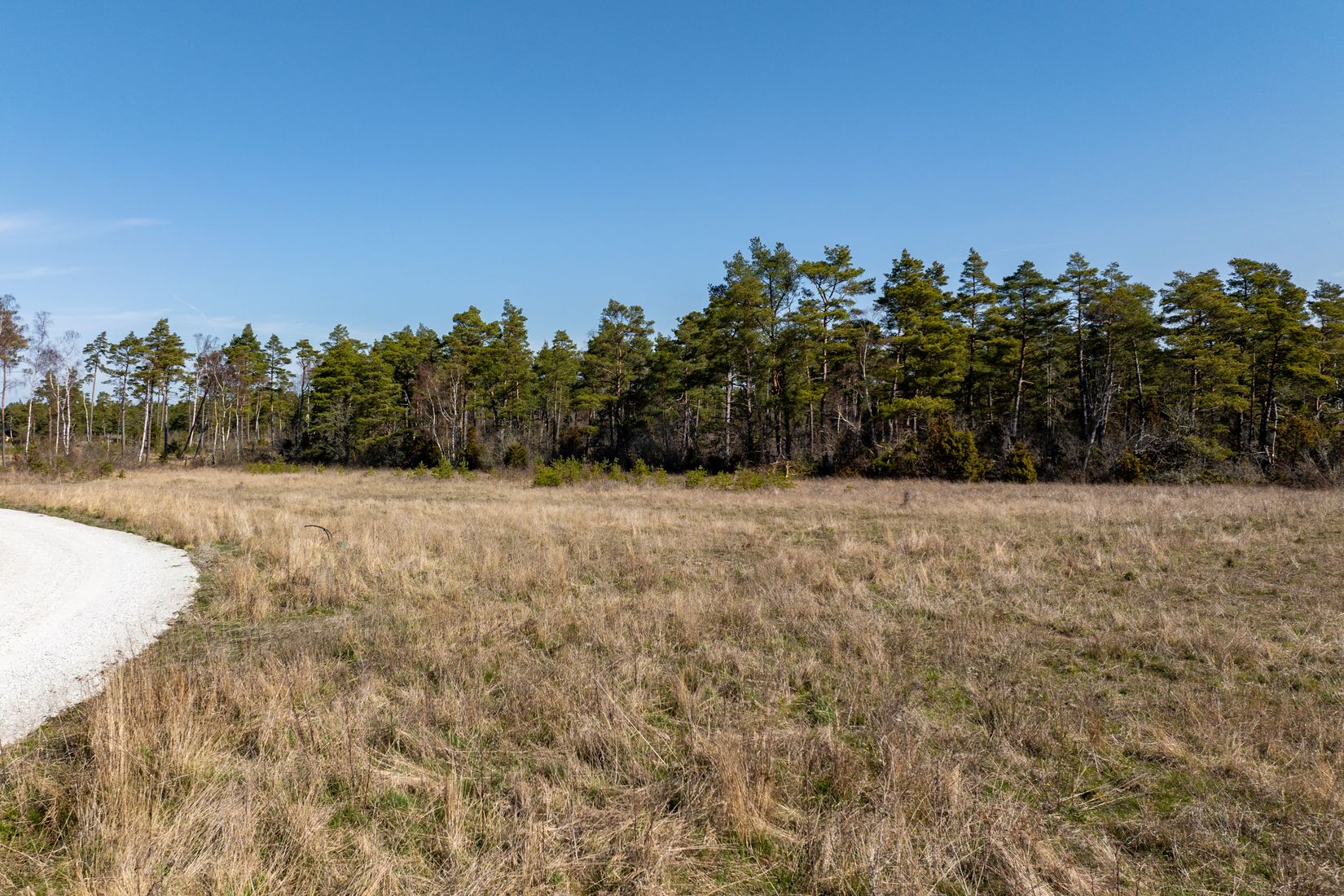 Tomt, Sanda Runne 809D, Gotland