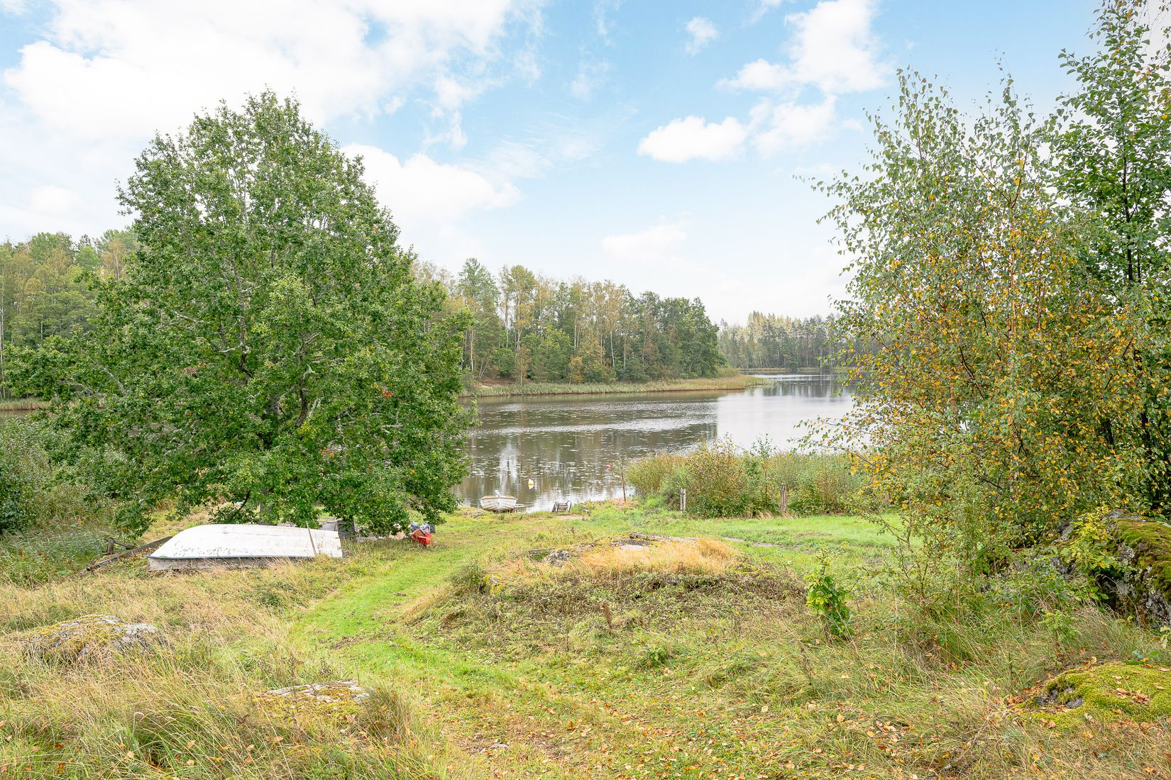Gård/Skog, Torp Sjötorp 1, Flen
