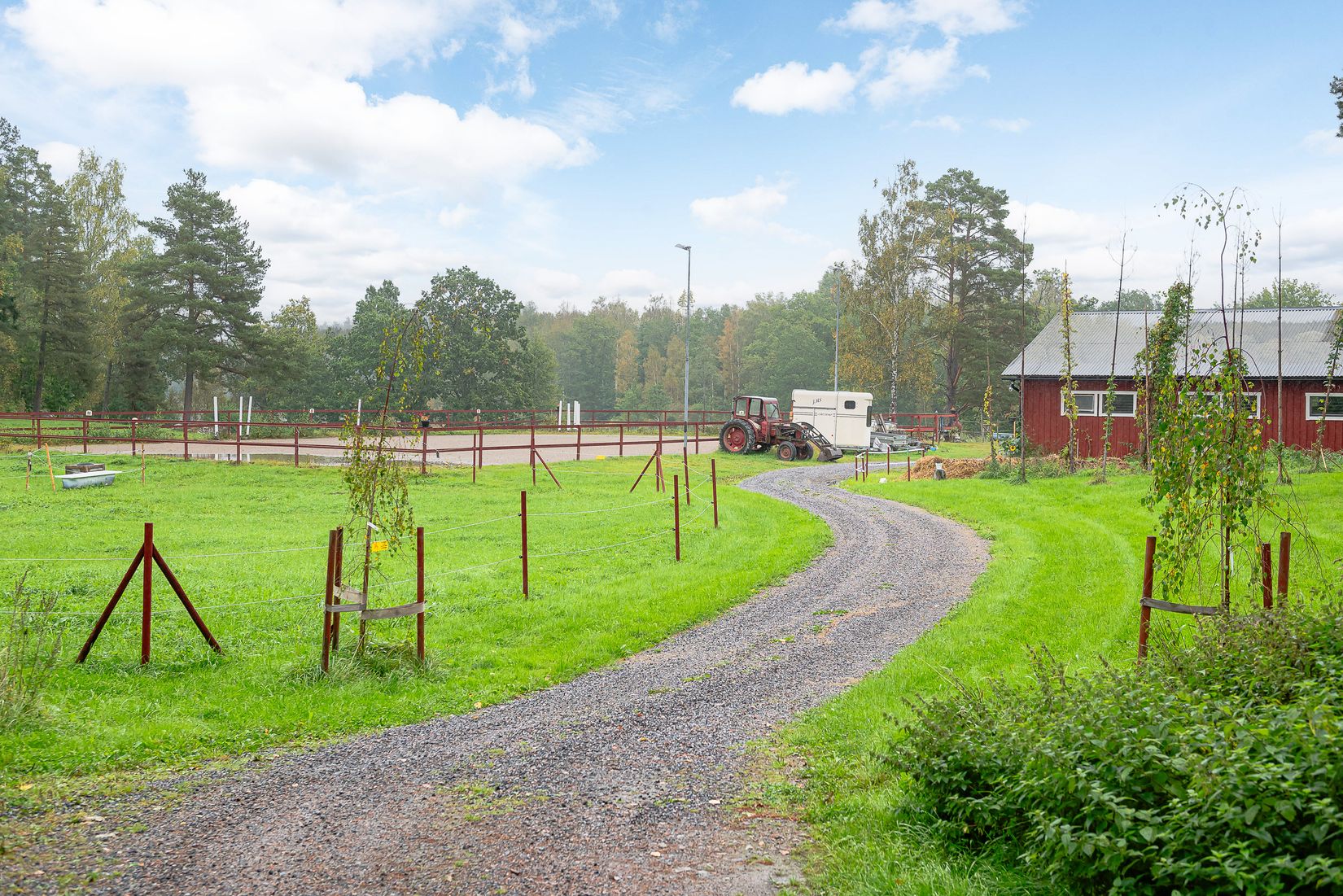 Gård/Skog, Torp Sjötorp 1, Flen