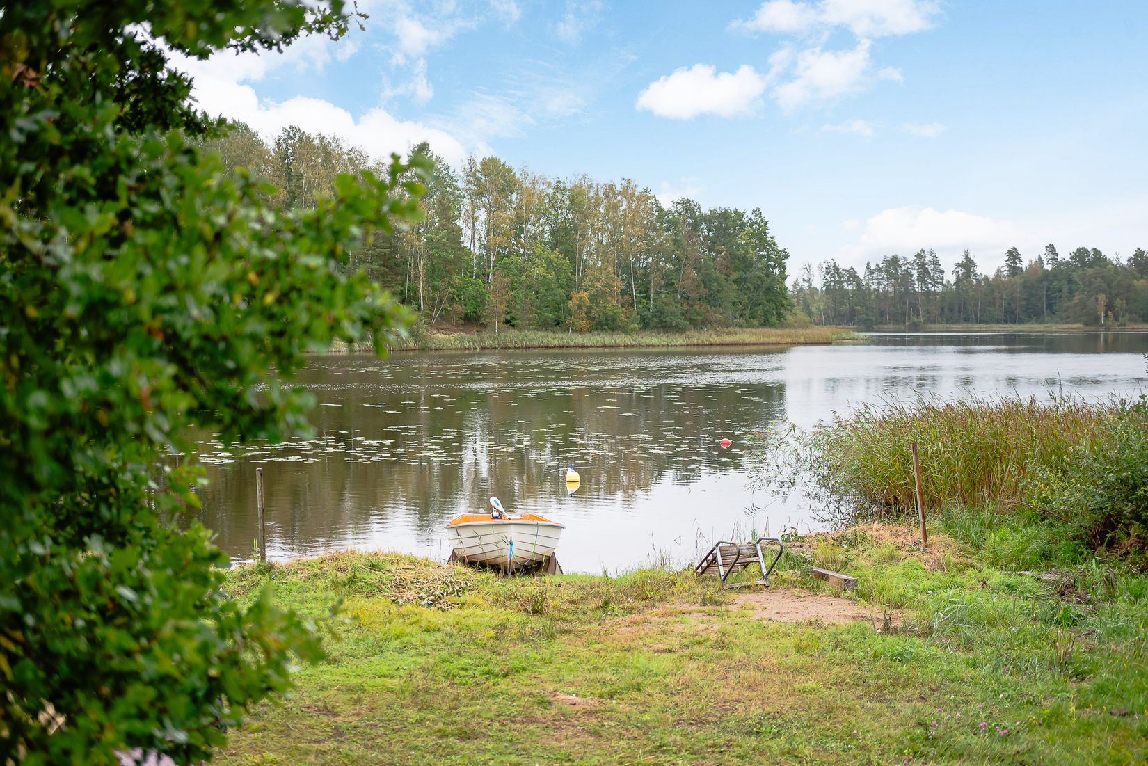 Gård/Skog, Torp Sjötorp 1, Flen