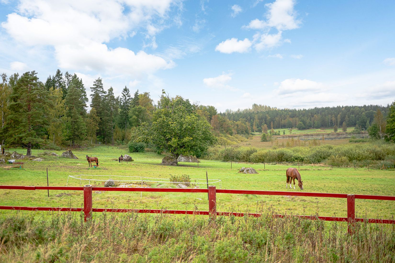 Gård/Skog, Torp Sjötorp 1, Flen