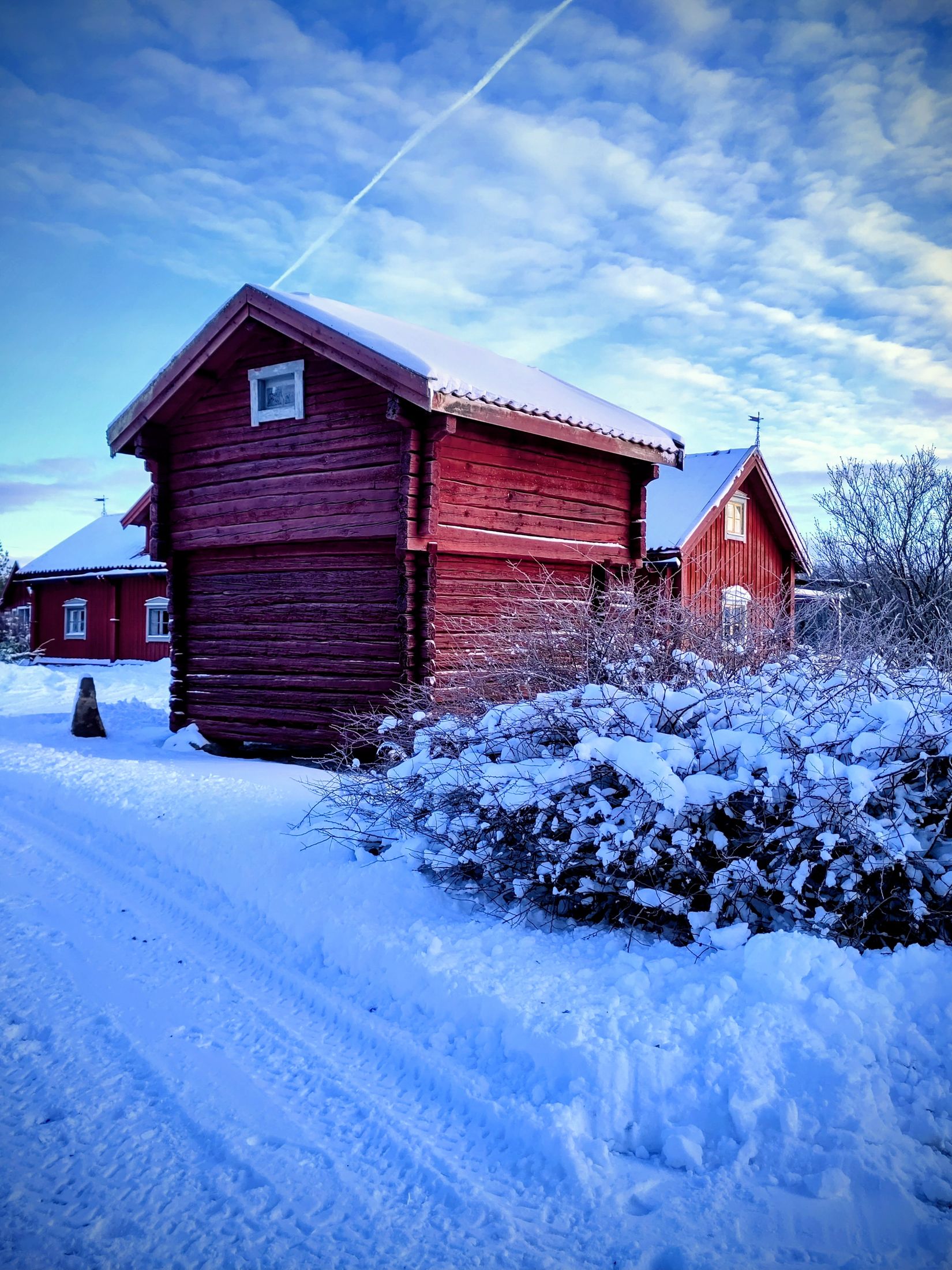 Gård/Skog, Torp Sjötorp 1, Flen