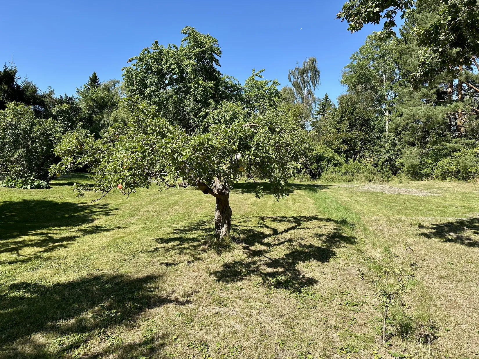 Tomt, Lotsvägen 3B, Boo Gård, Nacka