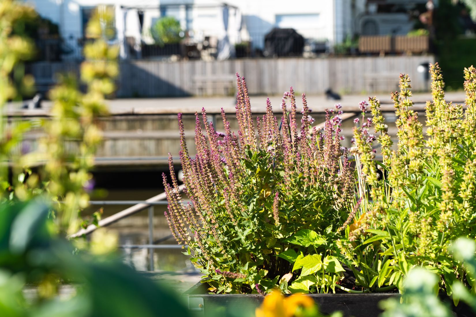 Bostadsrätt, Tappvägen 31F, Bromma / Annedal, Stockholm