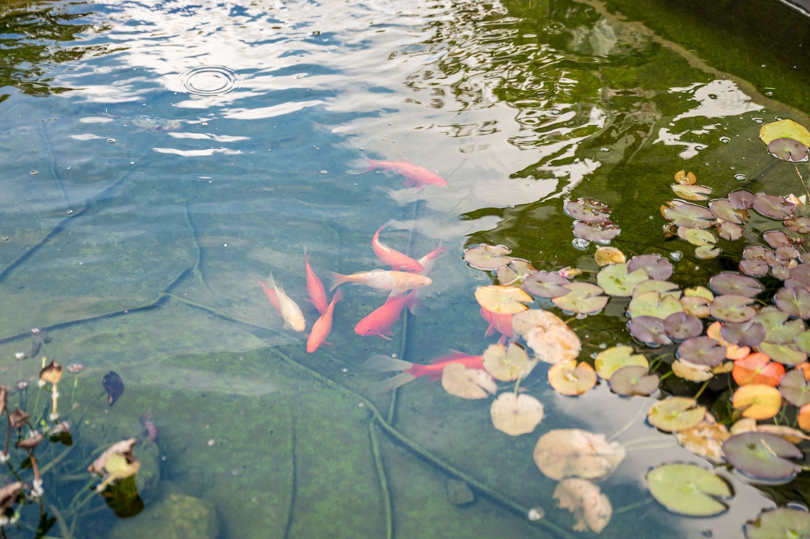 Villa, Västansjö 138, Rottneros, Sunne