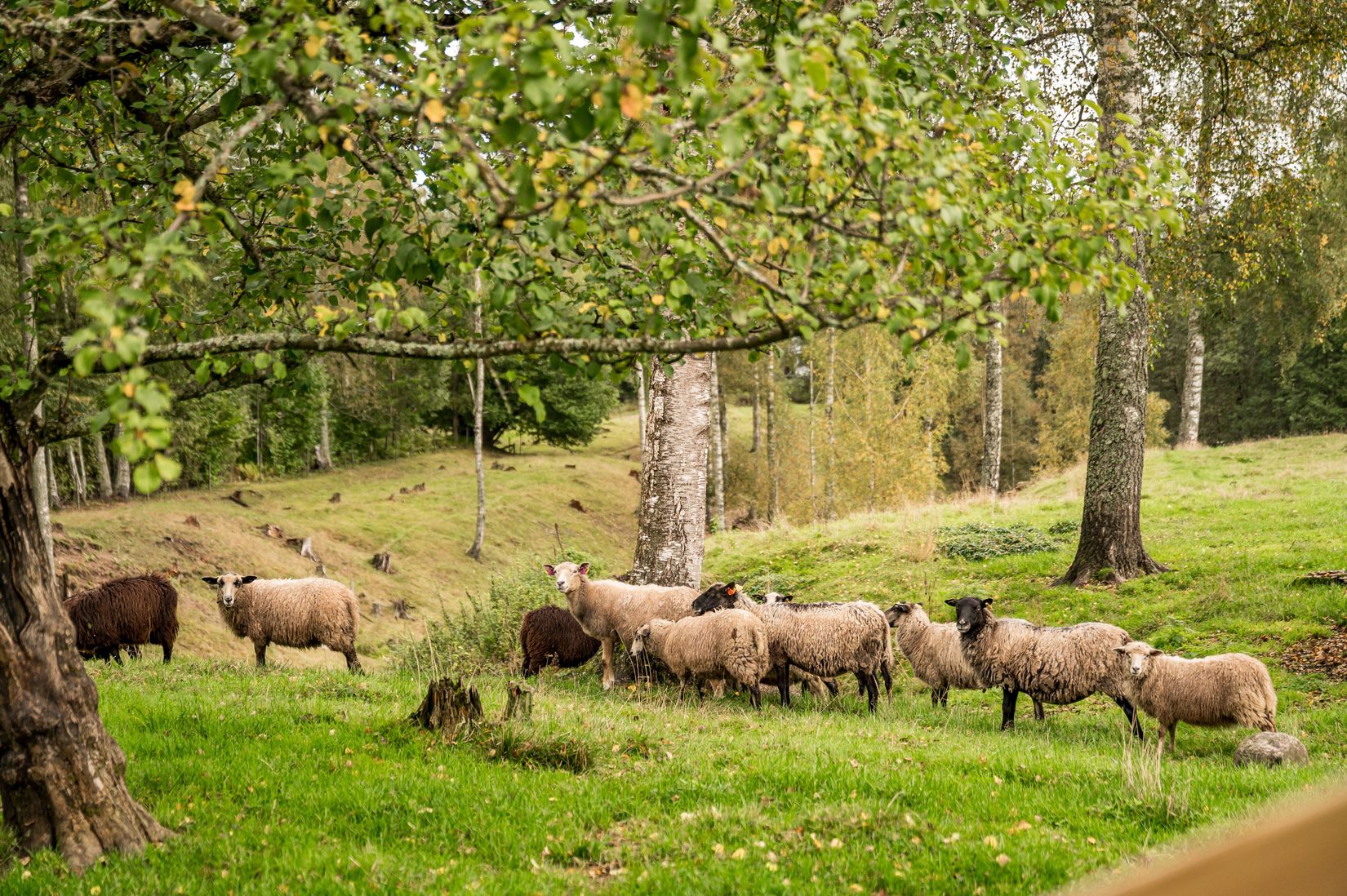 Villa, Västansjö 138, Rottneros, Sunne