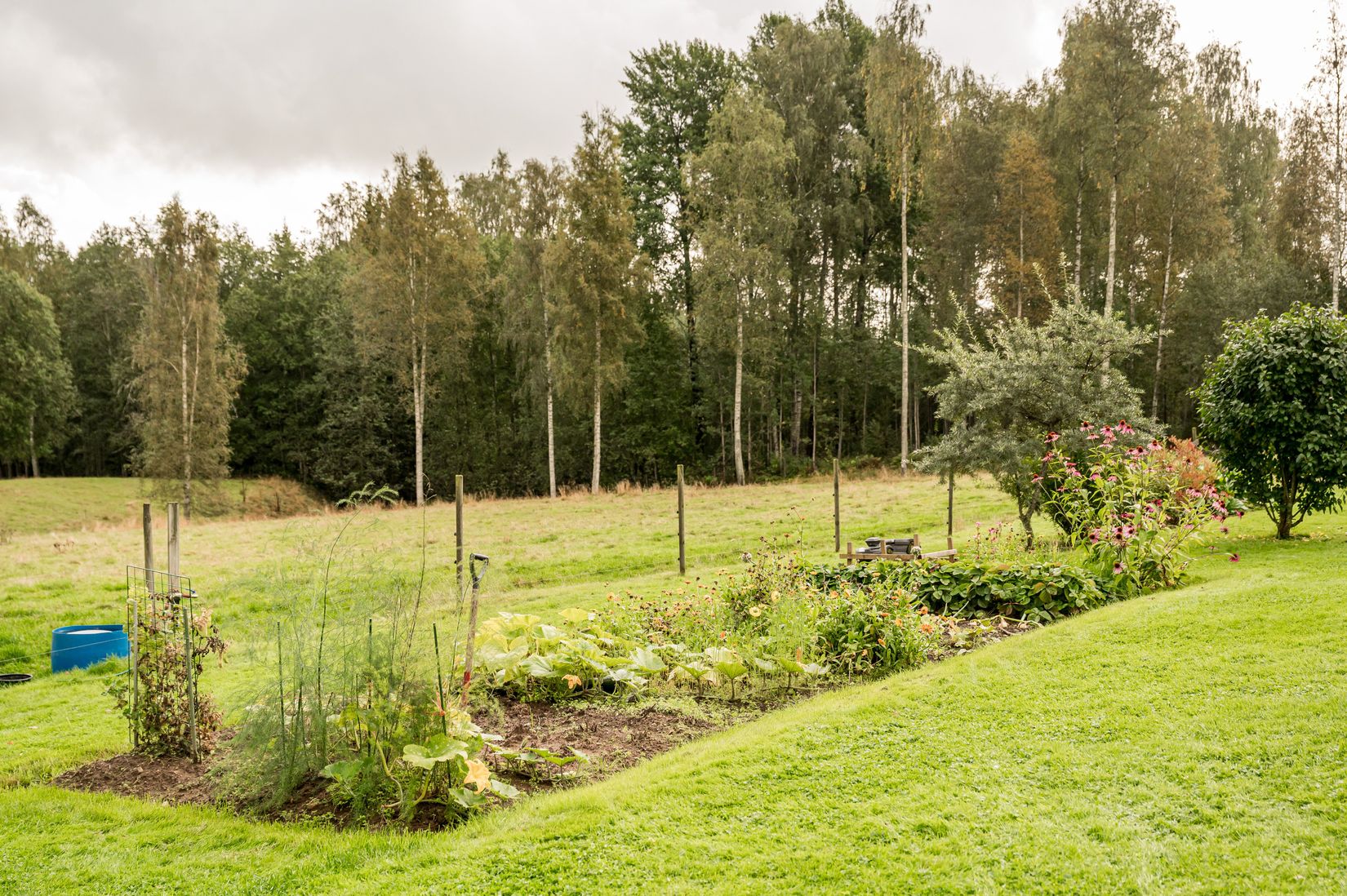 Villa, Västansjö 138, Rottneros, Sunne