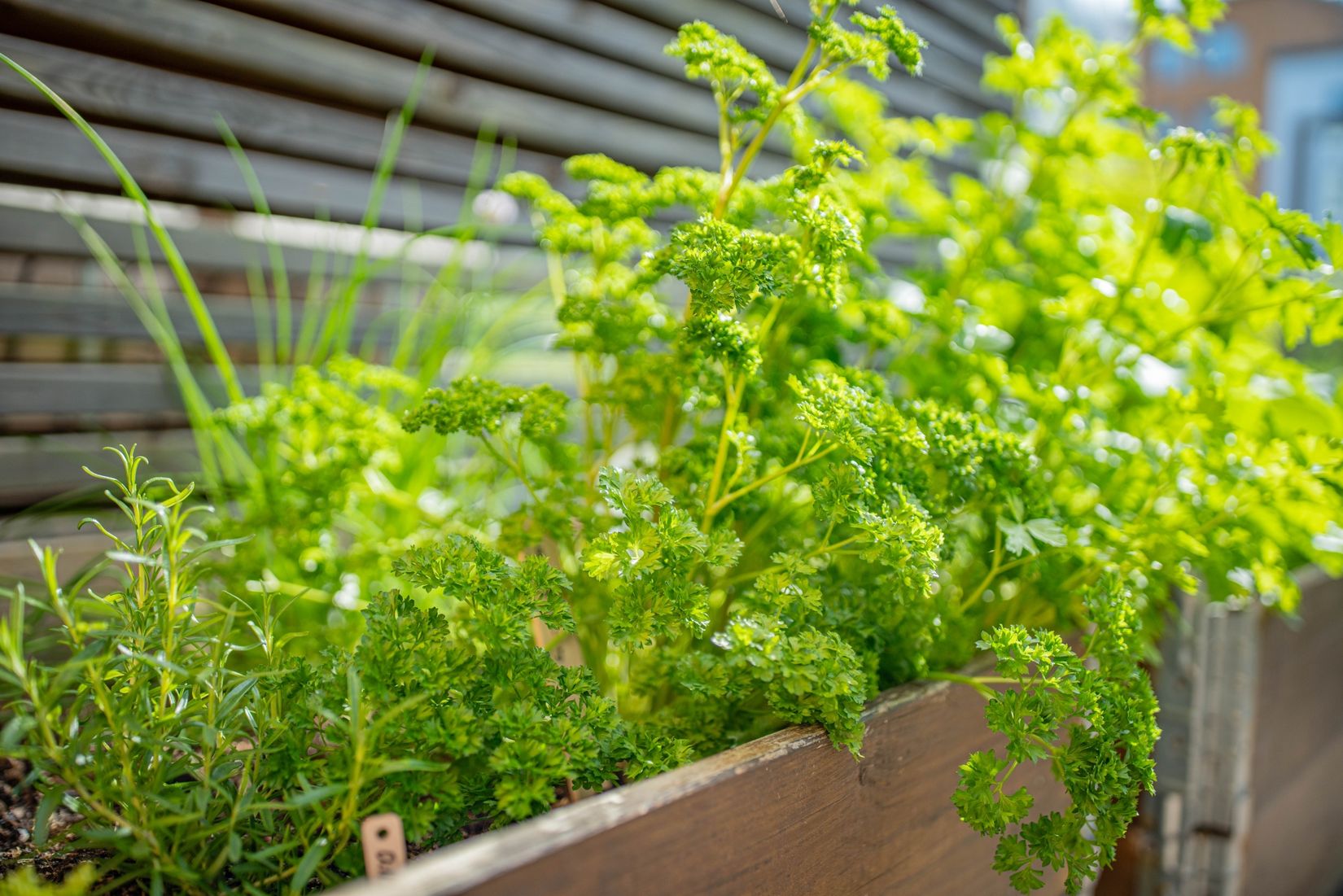 Bostadsrätt, Rörgatan 4, Luthagen - Stabby, Uppsala