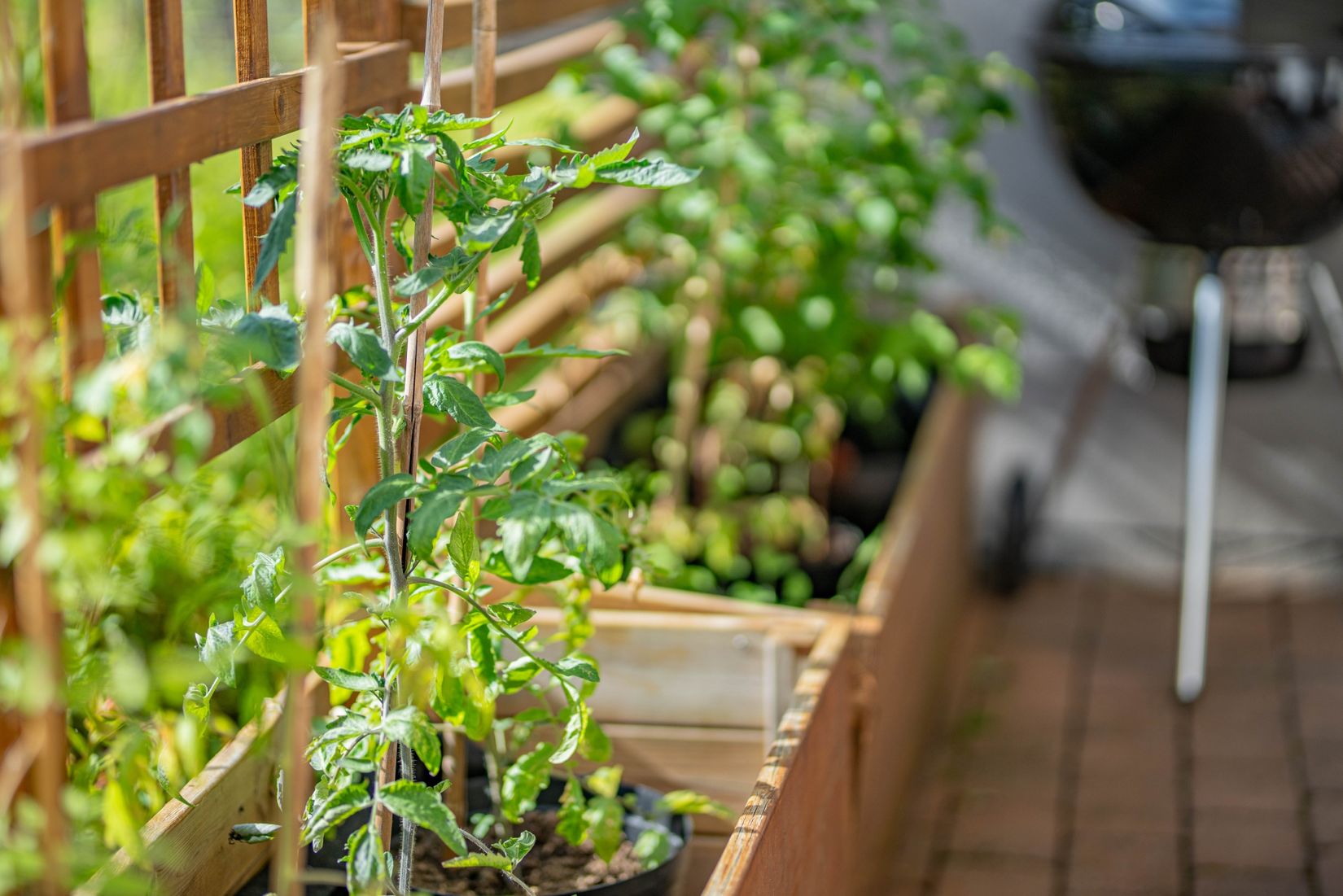 Bostadsrätt, Rörgatan 4, Luthagen - Stabby, Uppsala