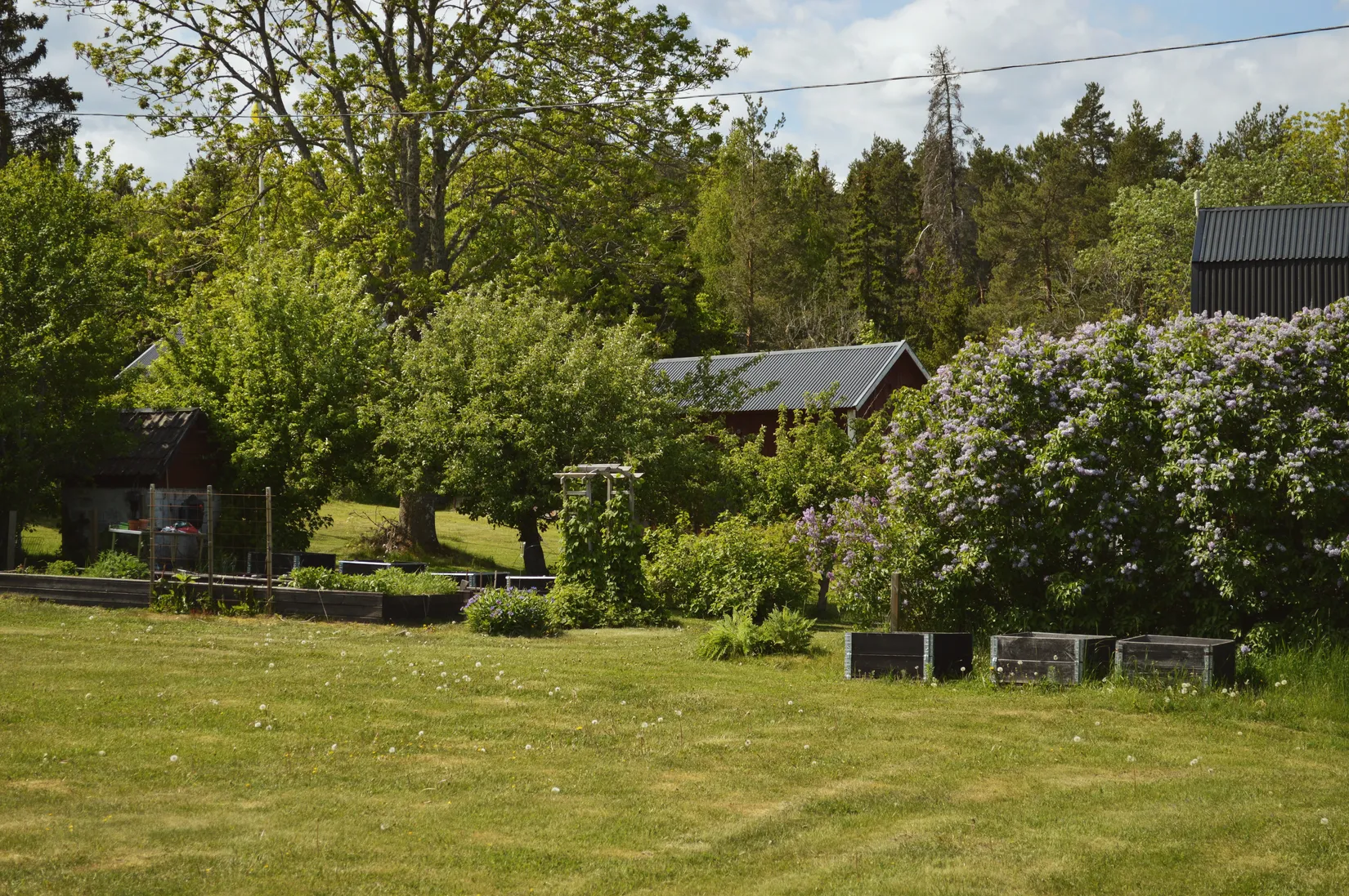 Gård/Skog, Örviks byväg 18, Herräng, Norrtälje