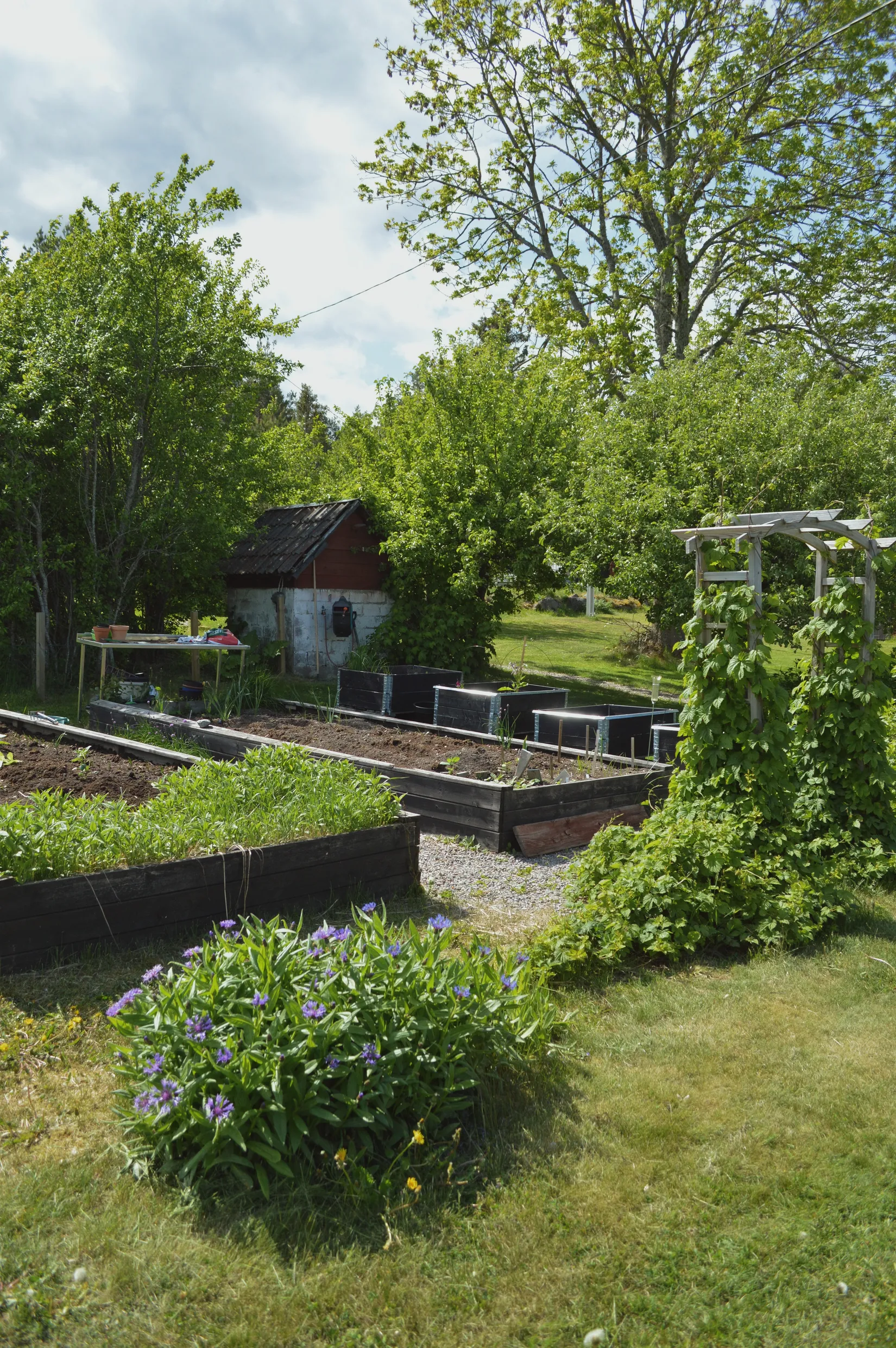 Gård/Skog, Örviks byväg 18, Herräng, Norrtälje