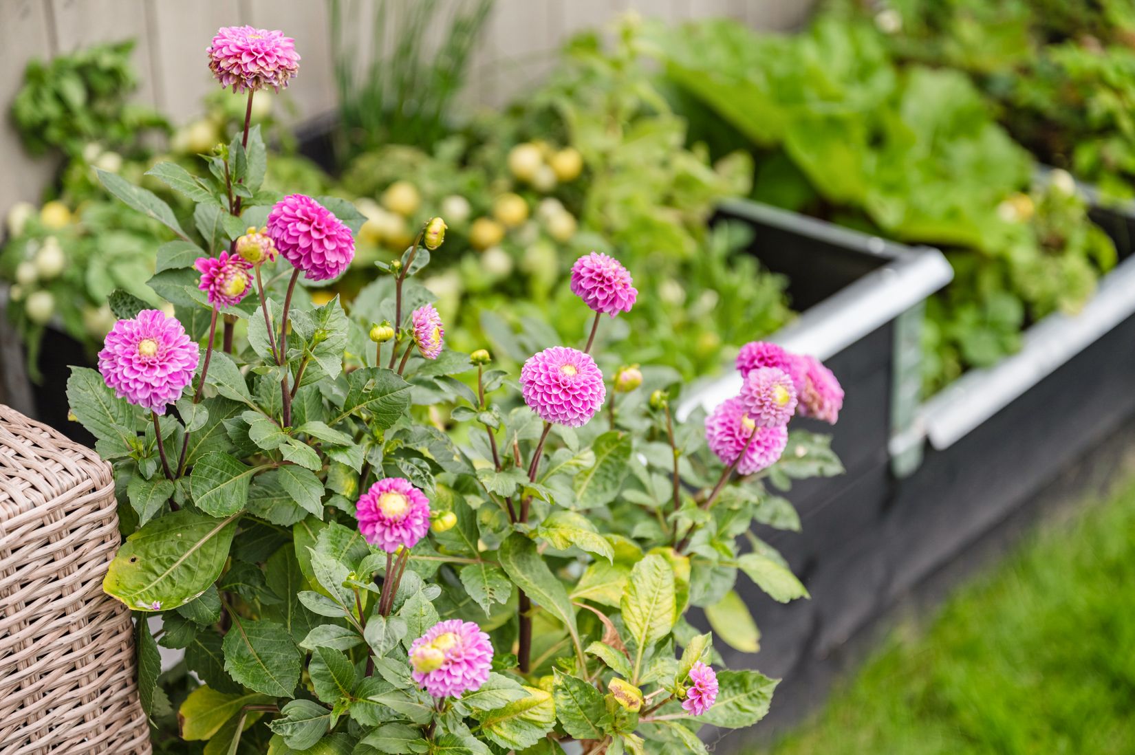 Bostadsrätt, Radhus, Stuterivägen 10, Jakobsberg, Järfälla