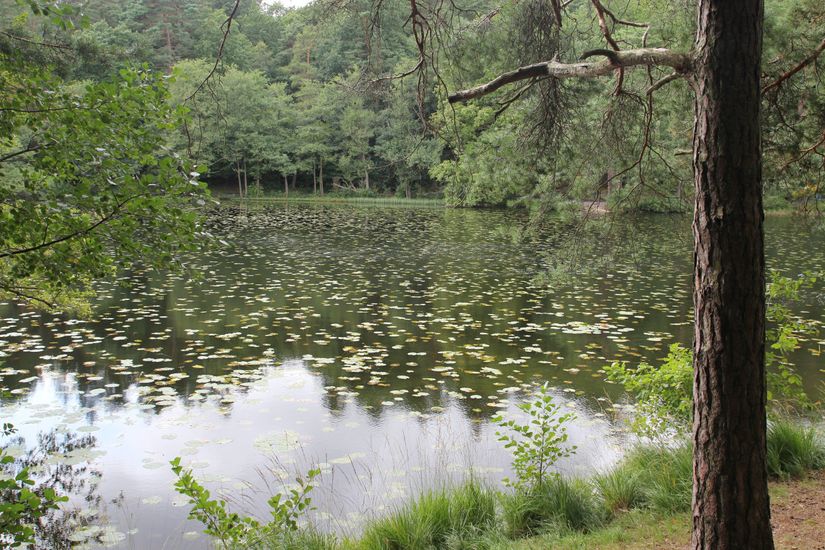Bostadsrätt, Fruktträdsgatan 4, Centrala Hisingen Hildedal, Göteborg