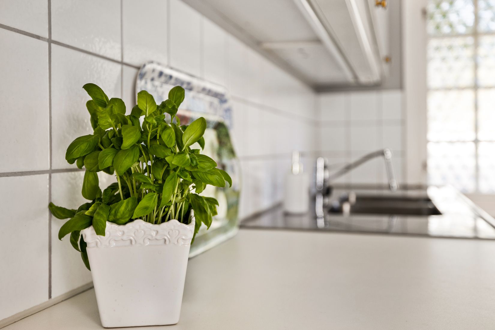 Fritidshus, Västra Banstigen 1 Ollonborren 26, Sandskogen, Ystad