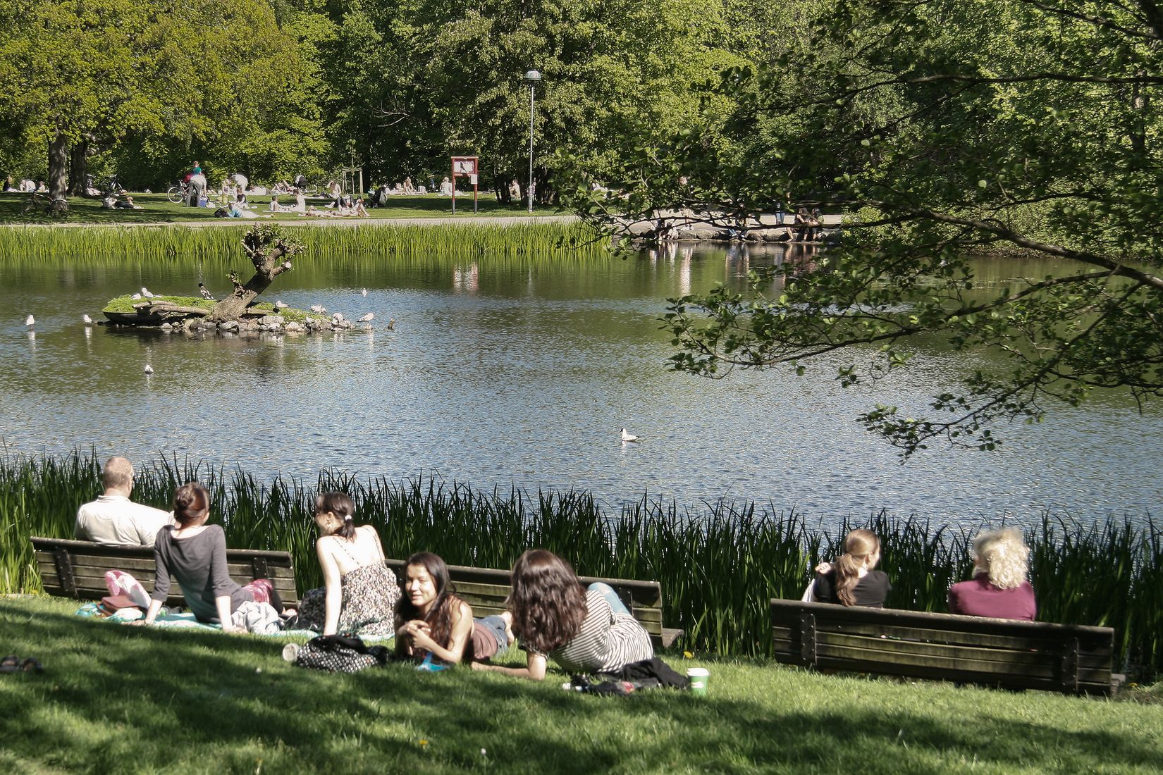 Bostadsrätt, Klamparegatan 13, Masthugget, Göteborg