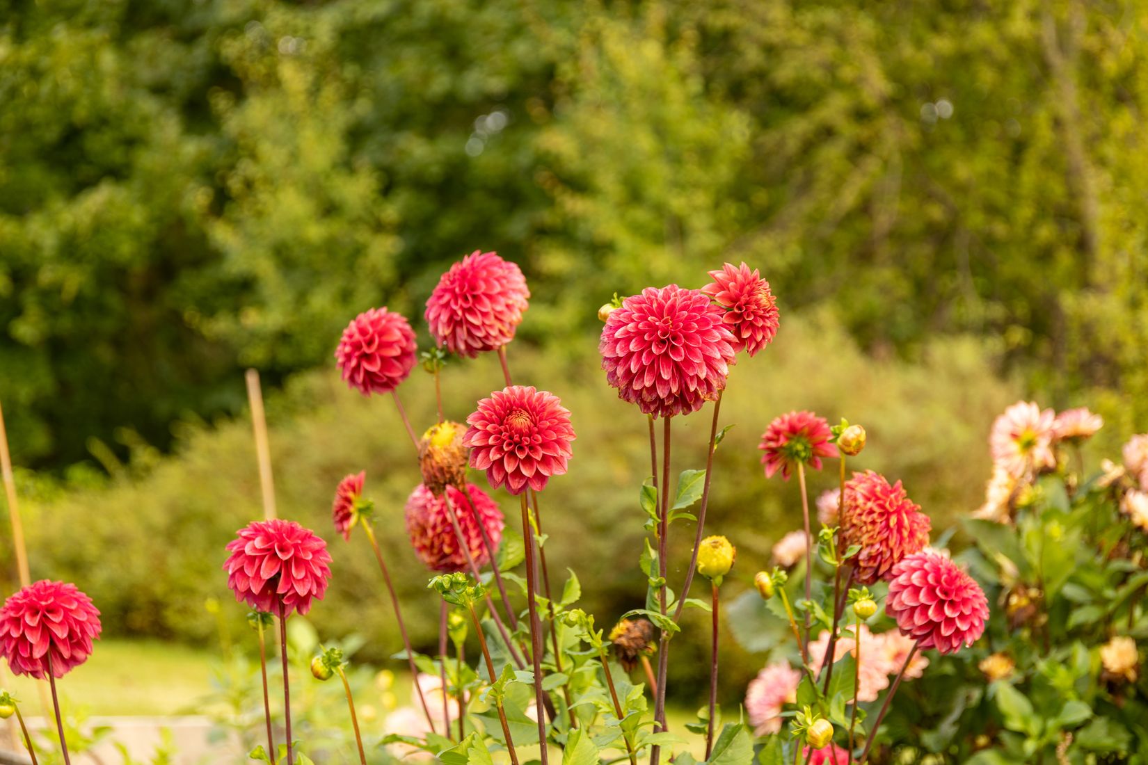 Radhus, Leonardsbergsgatan 18, Grums