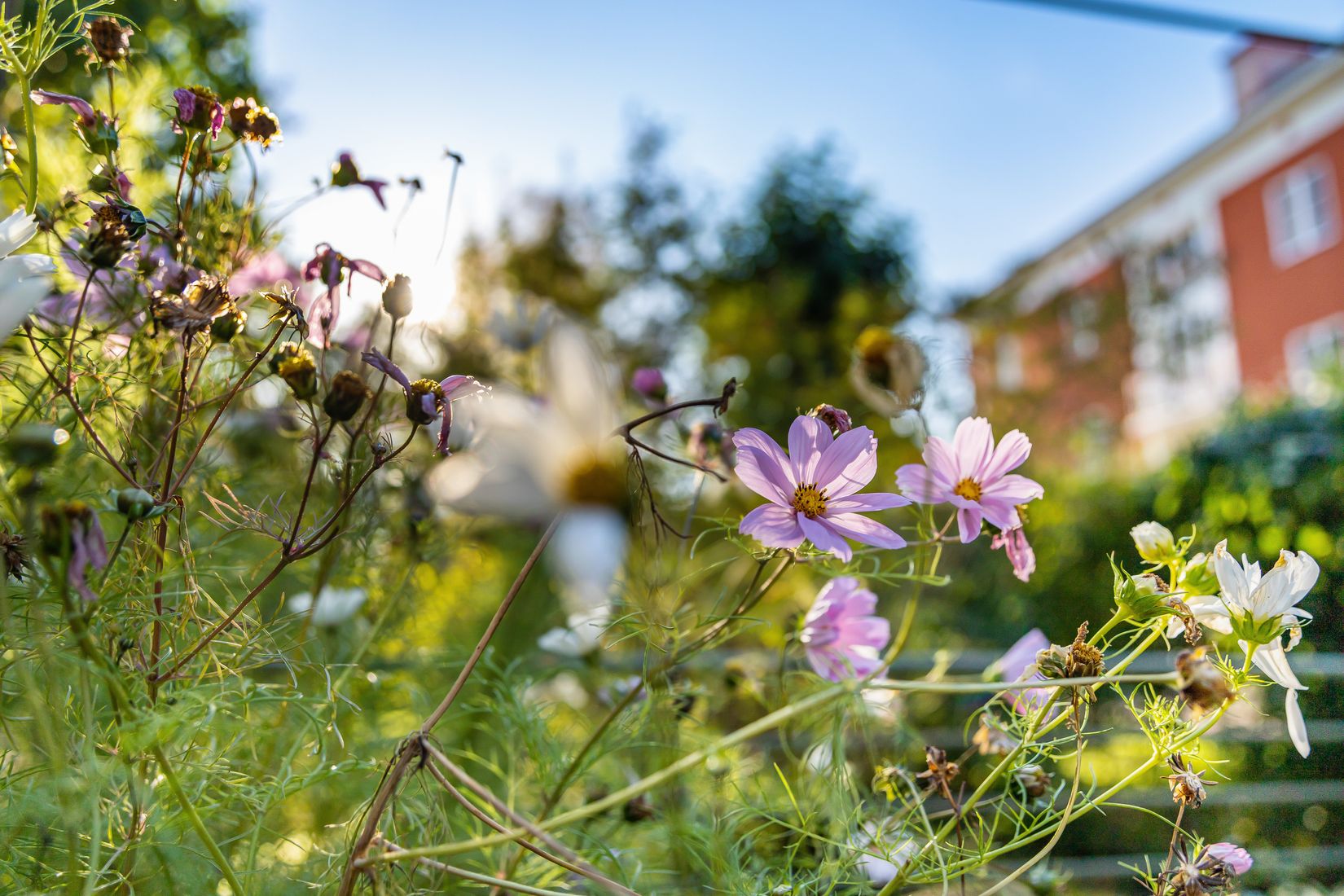 Bostadsrätt, S:T Göransgatan 25, Fålhagen, Uppsala