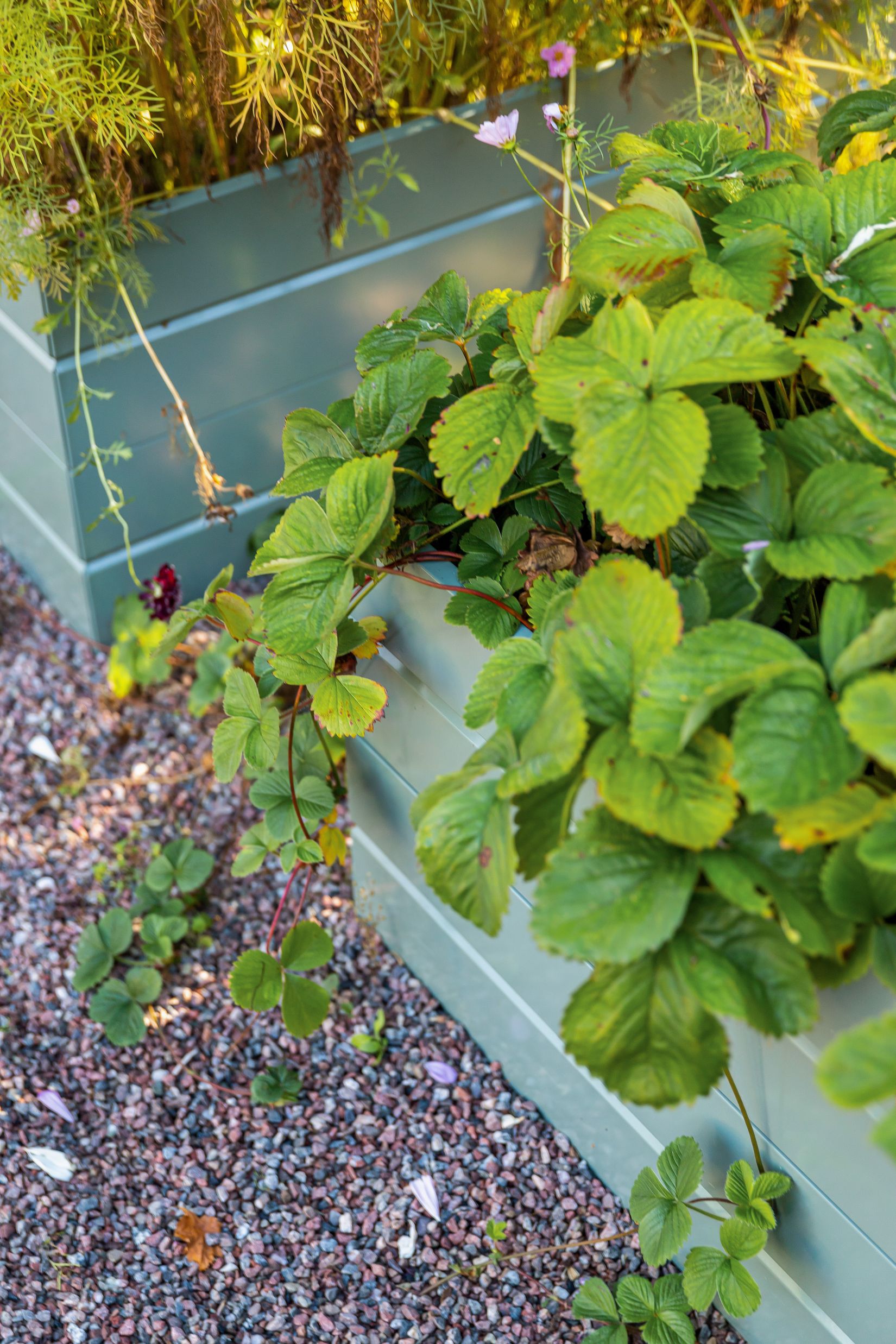 Bostadsrätt, S:T Göransgatan 25, Fålhagen, Uppsala