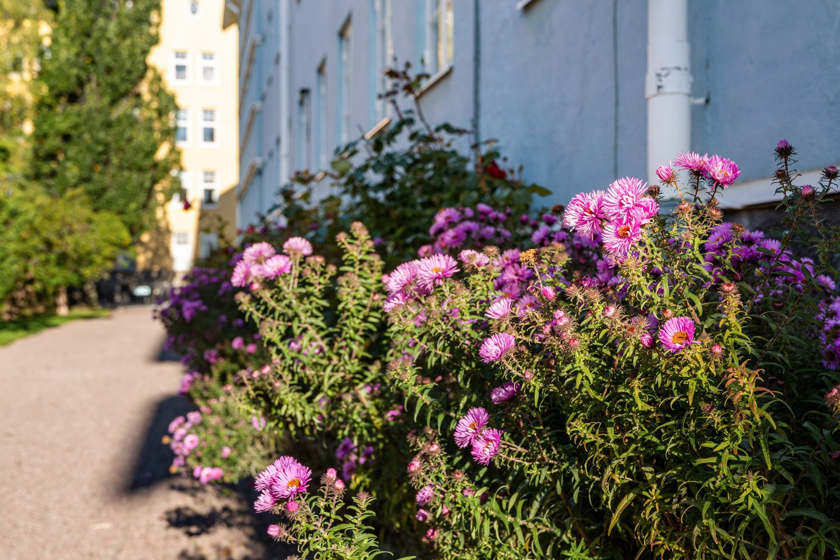 Bostadsrätt, S:T Göransgatan 25, Fålhagen, Uppsala