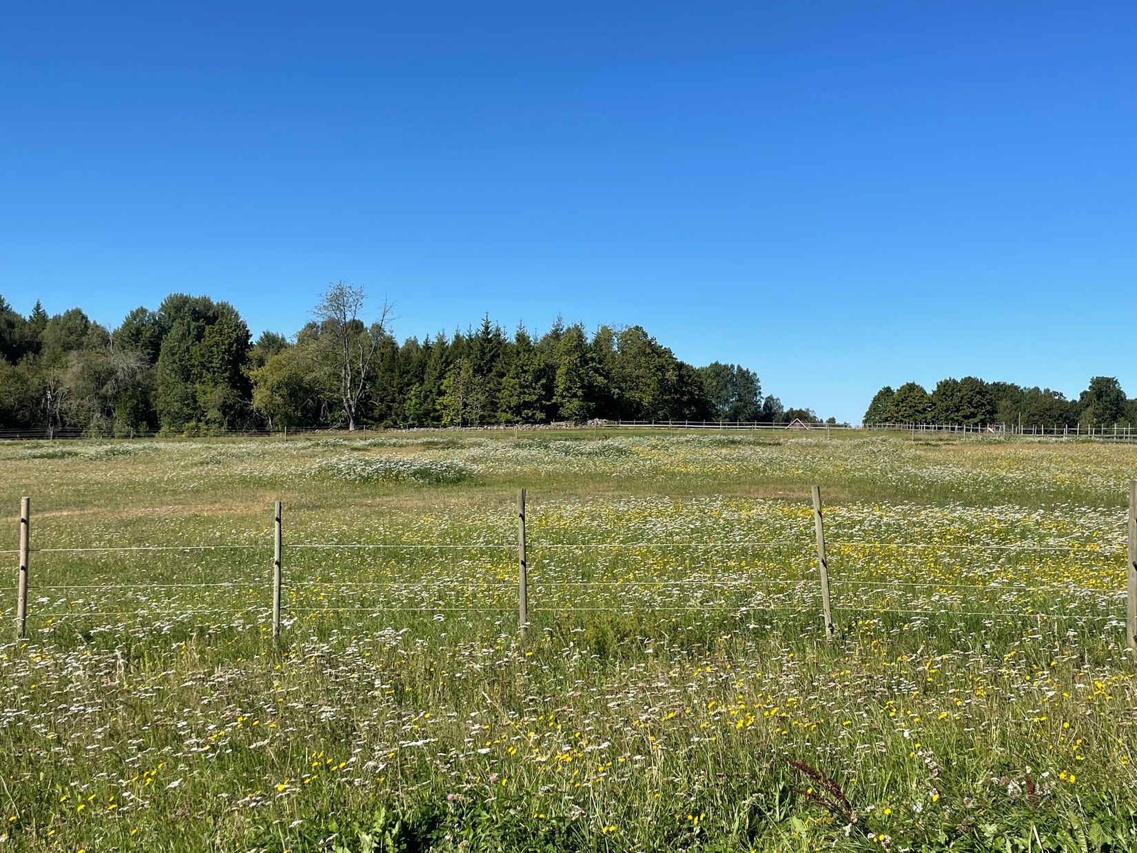Gård/Skog, Idemåla Simonsgård, Tingsryd