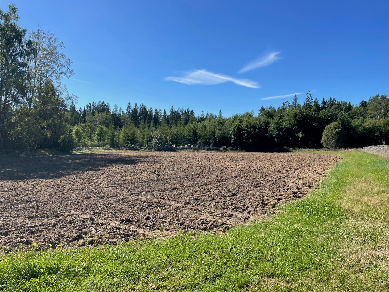 Gård/Skog, Idemåla Simonsgård, Tingsryd