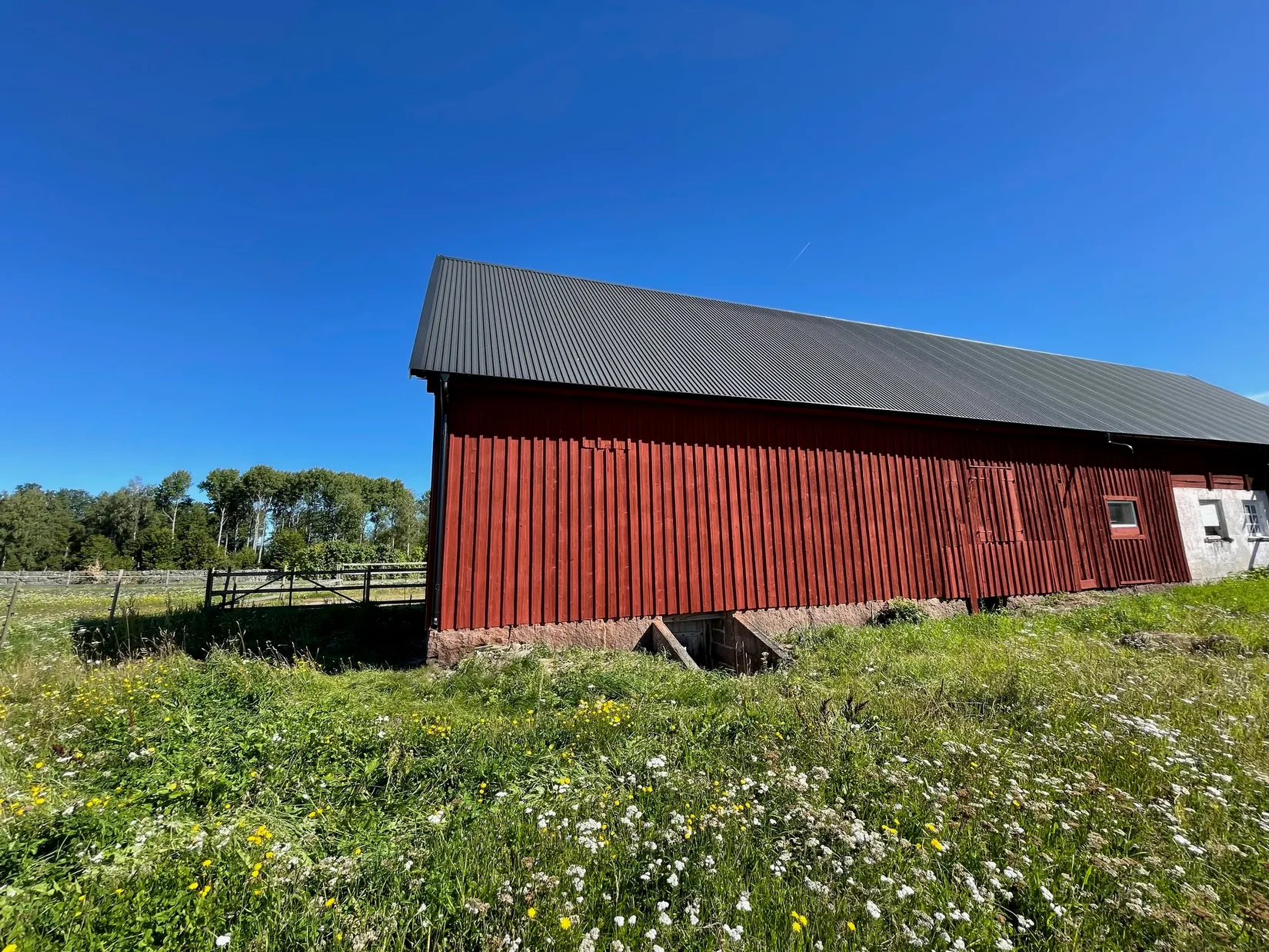 Gård/Skog, Idemåla Simonsgård, Tingsryd
