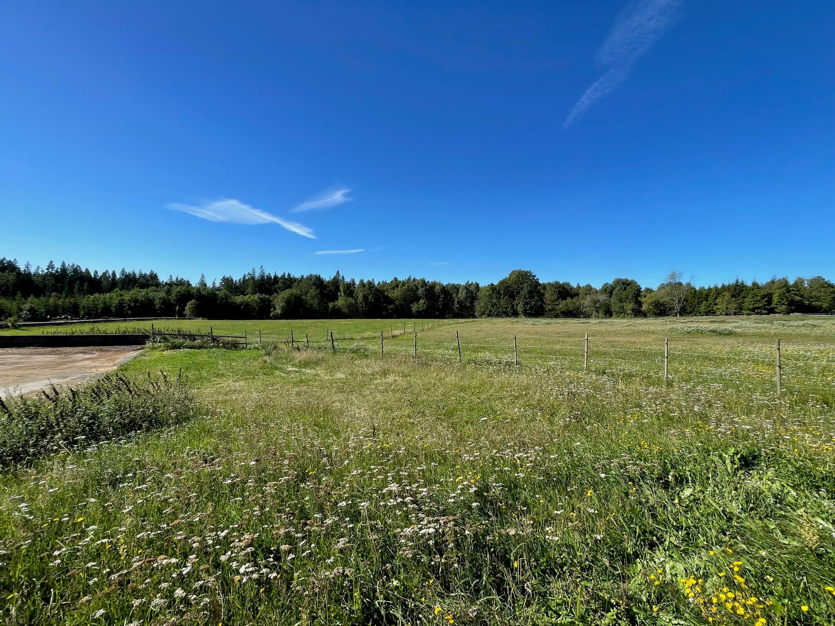 Gård/Skog, Idemåla Simonsgård, Tingsryd