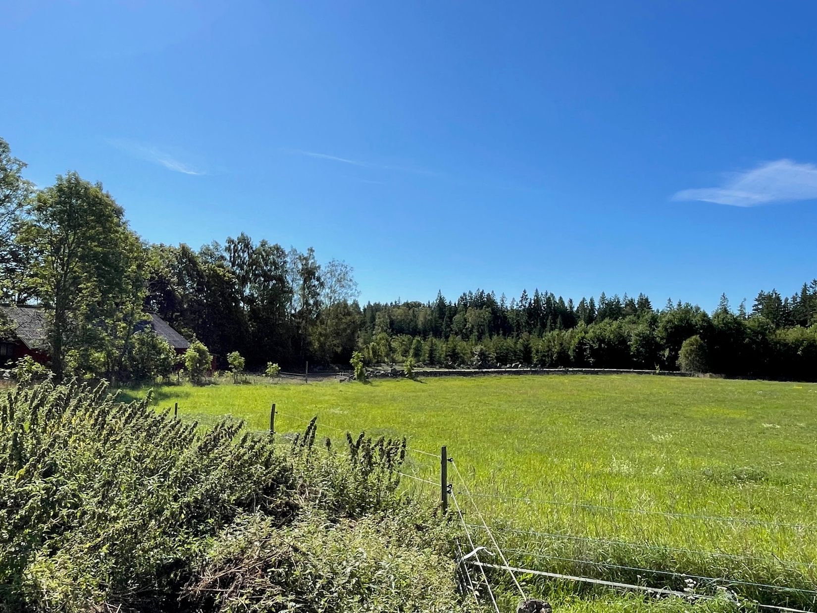 Gård/Skog, Idemåla Simonsgård, Tingsryd