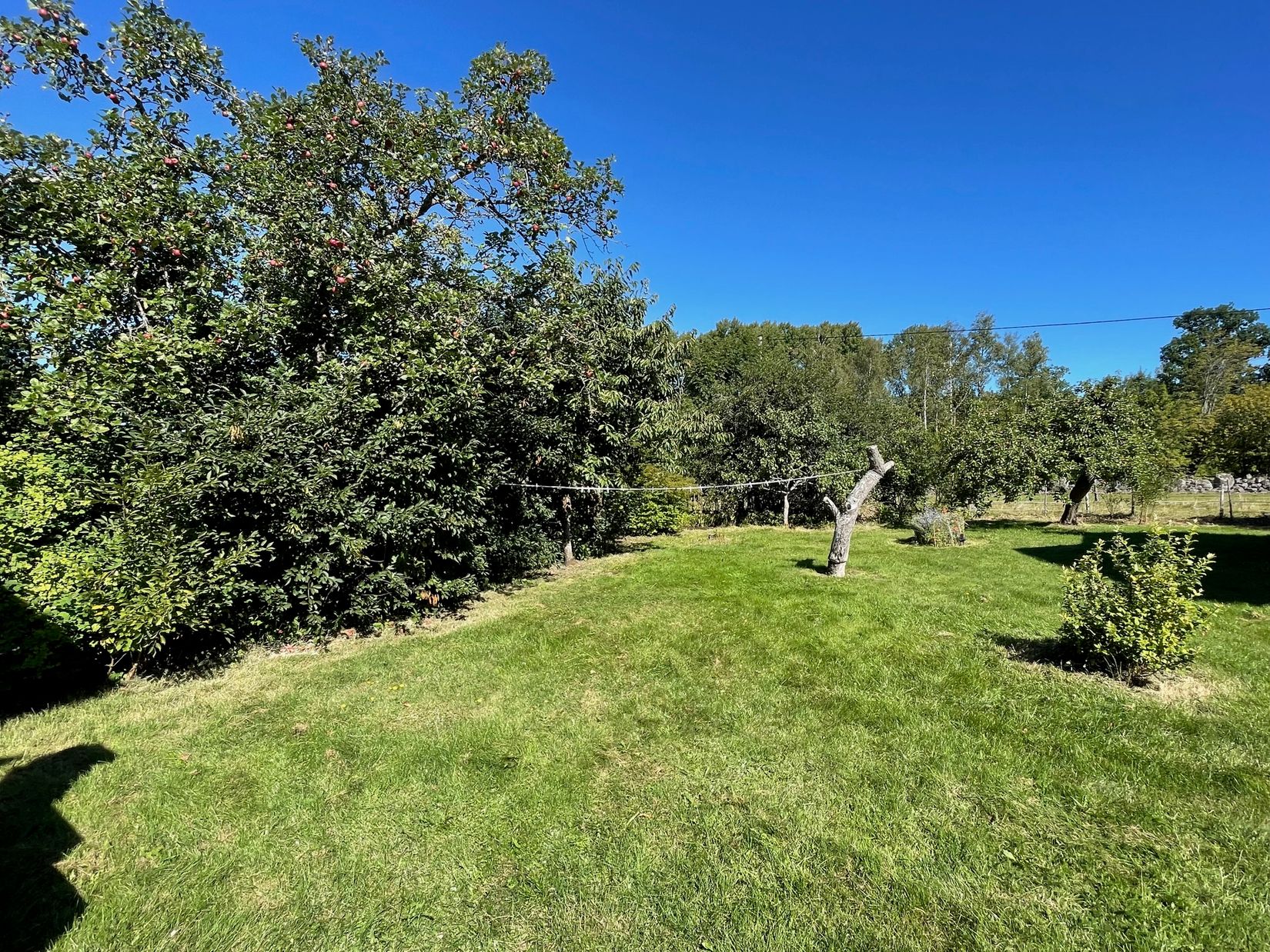 Gård/Skog, Idemåla Simonsgård, Tingsryd