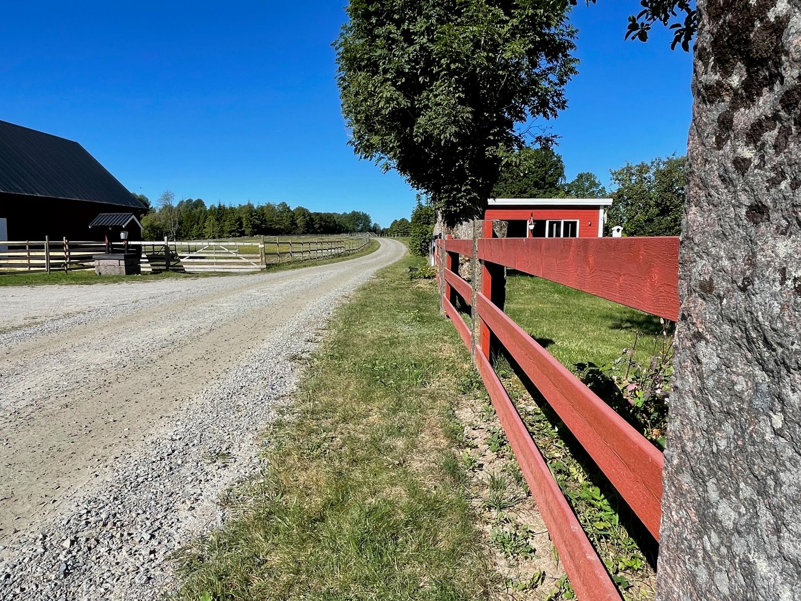 Gård/Skog, Idemåla Simonsgård, Tingsryd