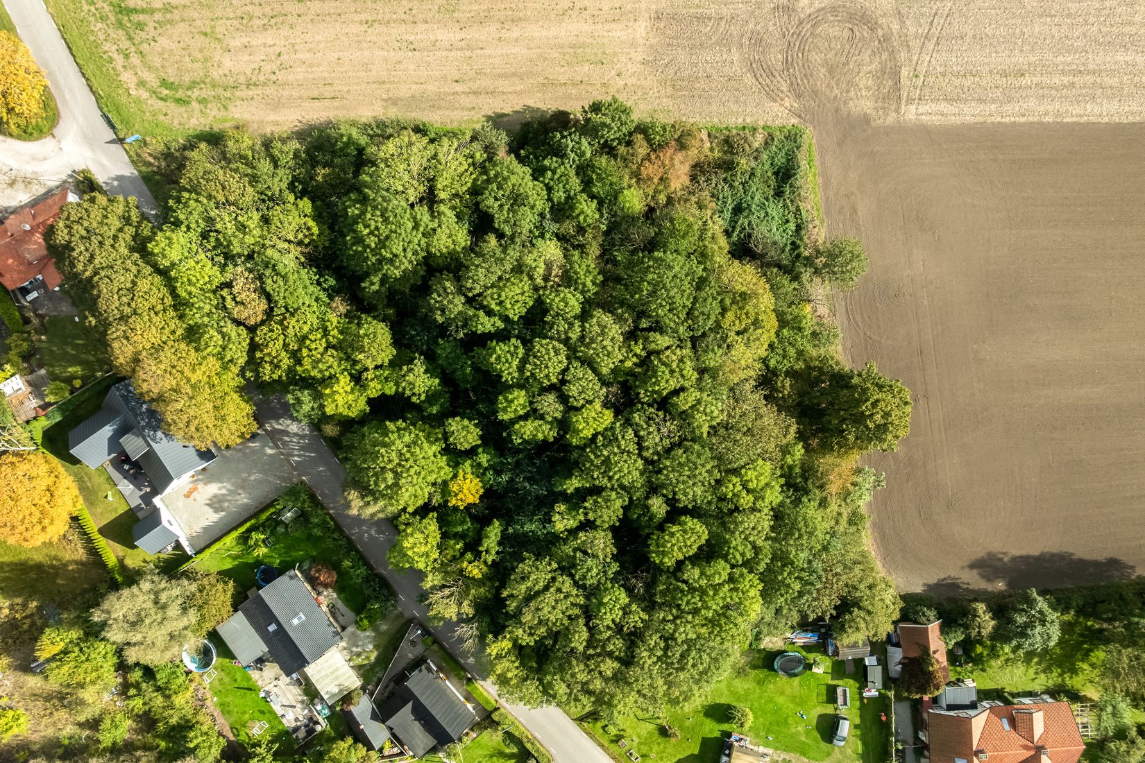 Tomt, Flädie kyrkväg 14, Flädie, Lomma