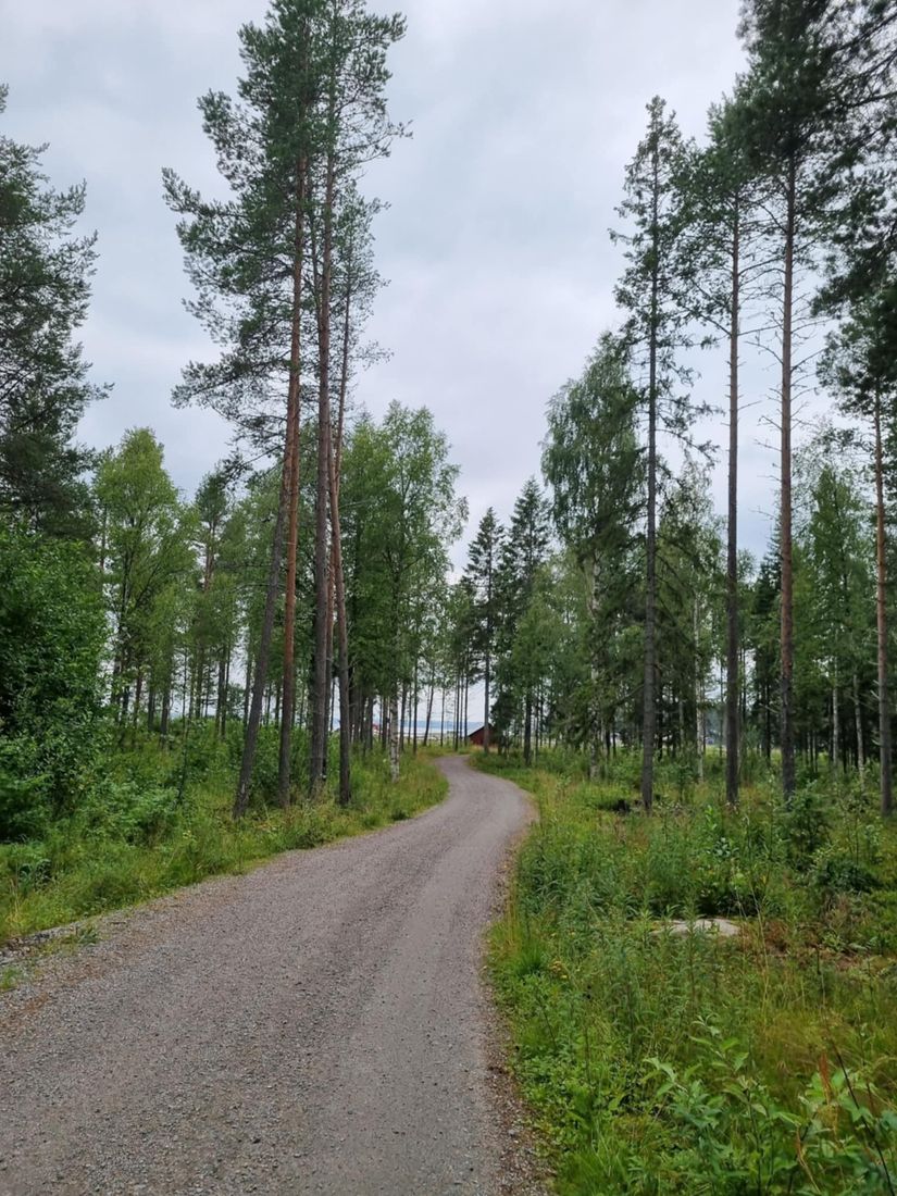 Fritidshus, Båtvik 219, Båtvik, Skellefteå